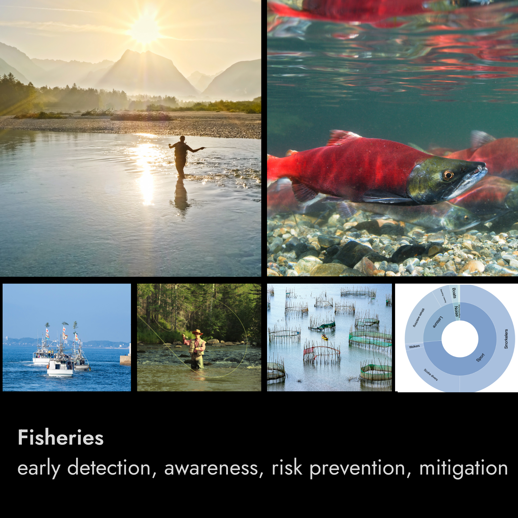 A collage of images related to fisheries, including a person fishing in a river at sunset, fish underwater, a fishing boat at sea, a person fly fishing in a stream, fish farming enclosures, and a chart about different aspects of fisheries. The text at the bottom reads: 'Fisheries early detection, awareness, risk prevention, mitigation.'