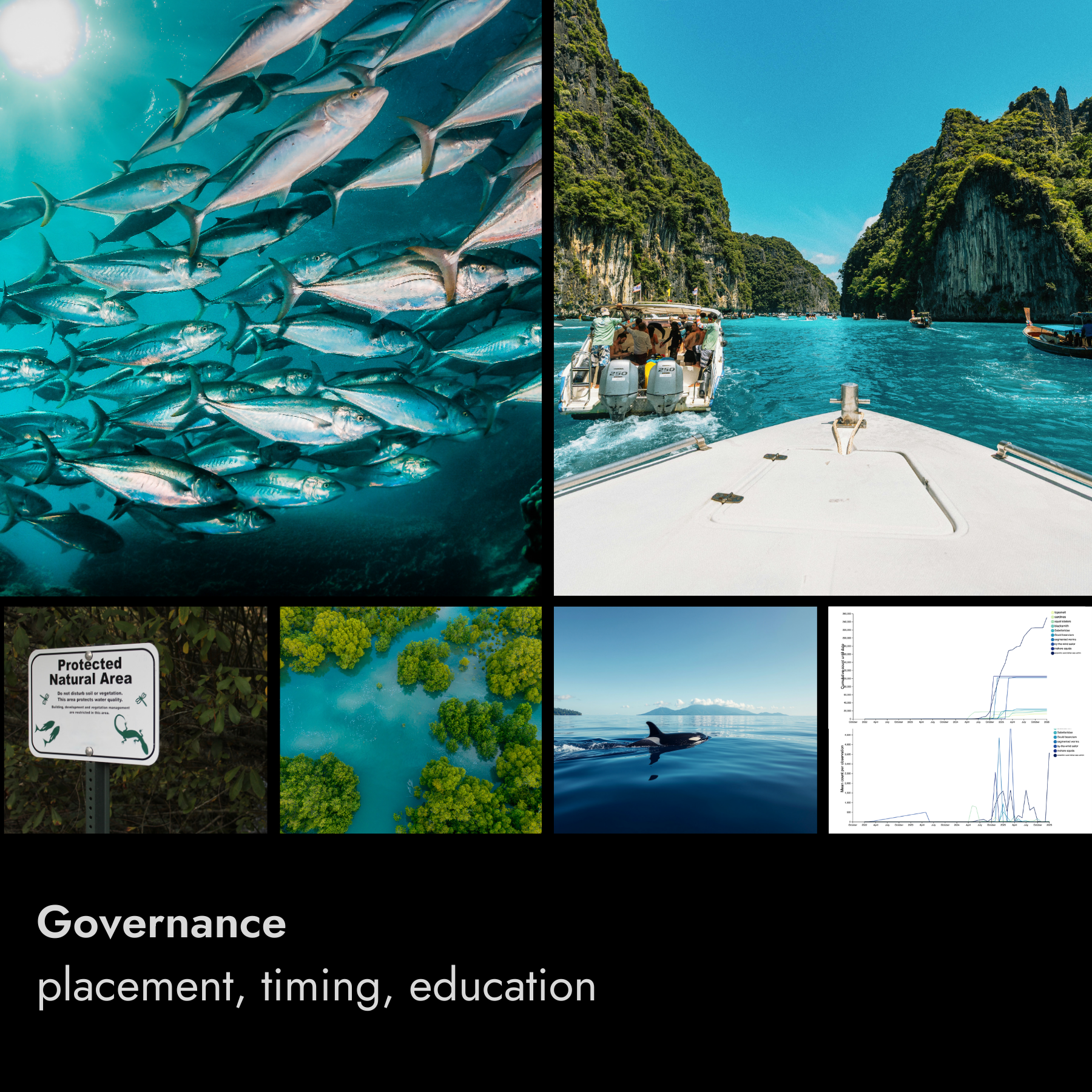 A collage of images related to marine governance, including schools of fish underwater, boats on a river surrounded by limestone cliffs, a protected natural area sign, an aerial view of a mangrove forest, a whale swimming in the ocean, and graphs showing environmental data.