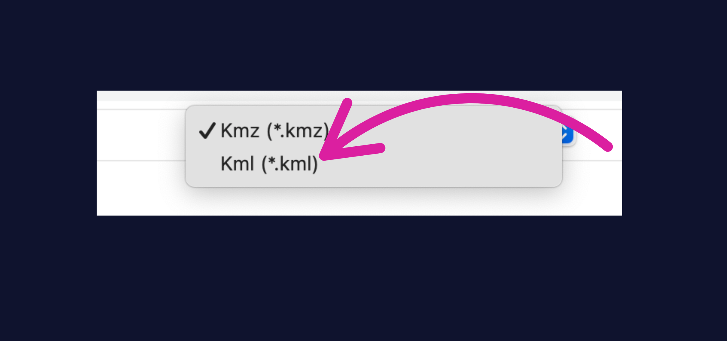 Dropdown menu showing options for file formats: KMZ (*.kmlz) and KML (*.kml), with KMZ selected.