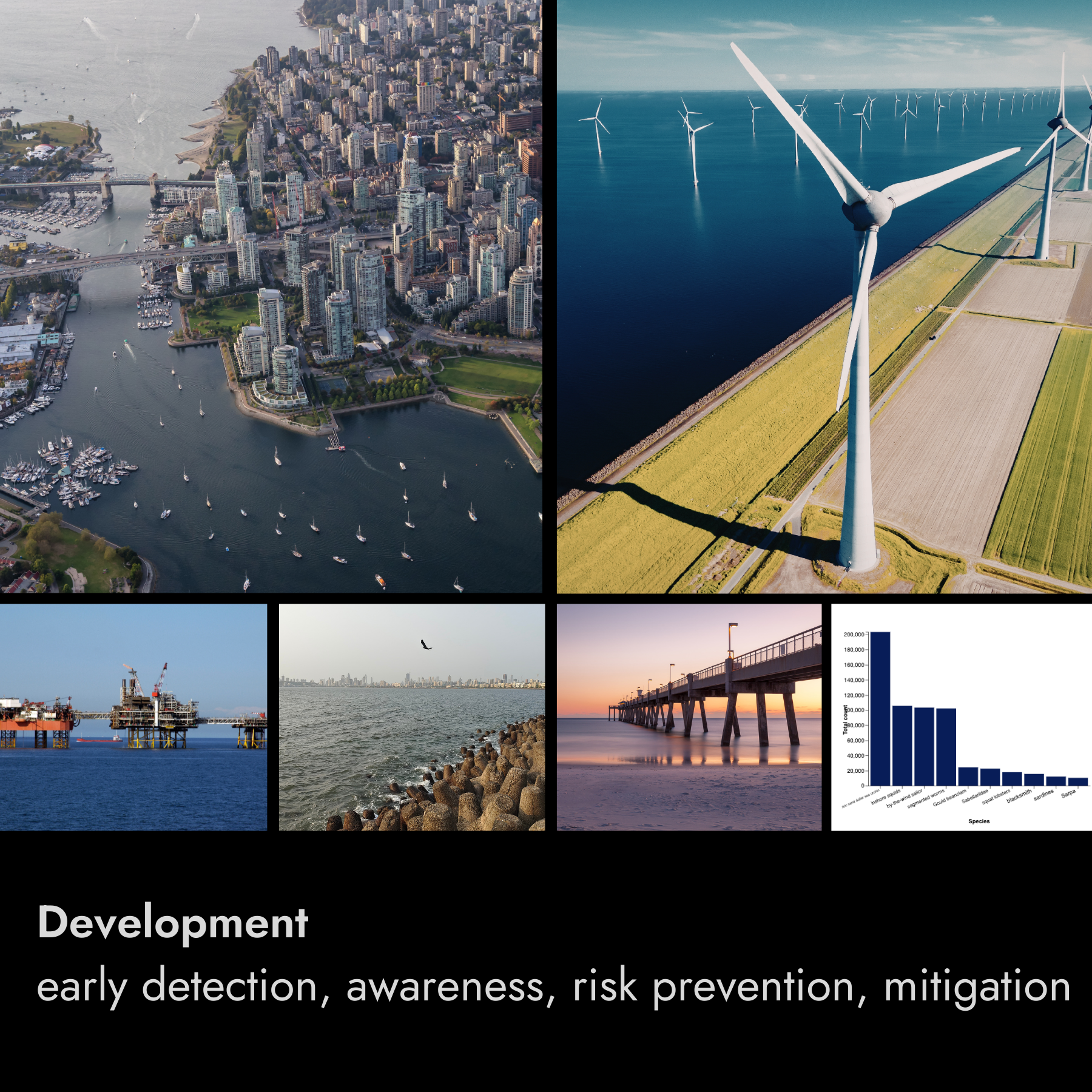 A collage of images with a focus on development, early detection, awareness, risk prevention, and mitigation. Includes aerial views of a city with water, wind turbines offshore, an oil platform, a seagull over the ocean, a pier at sunset, and a bar chart illustrating species population data.