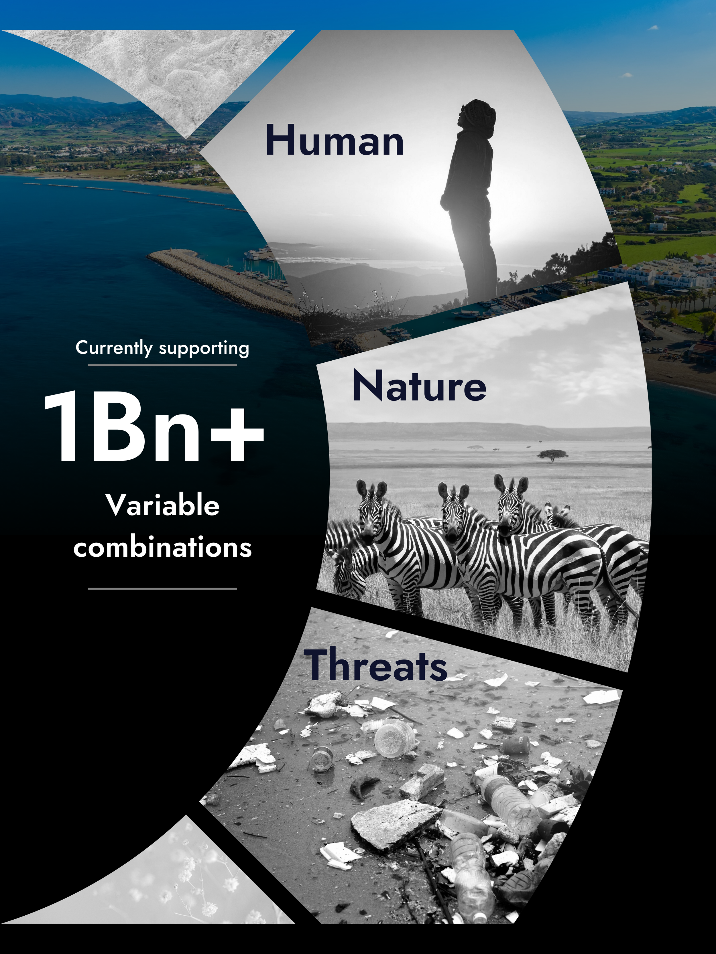 Project Links (5).png