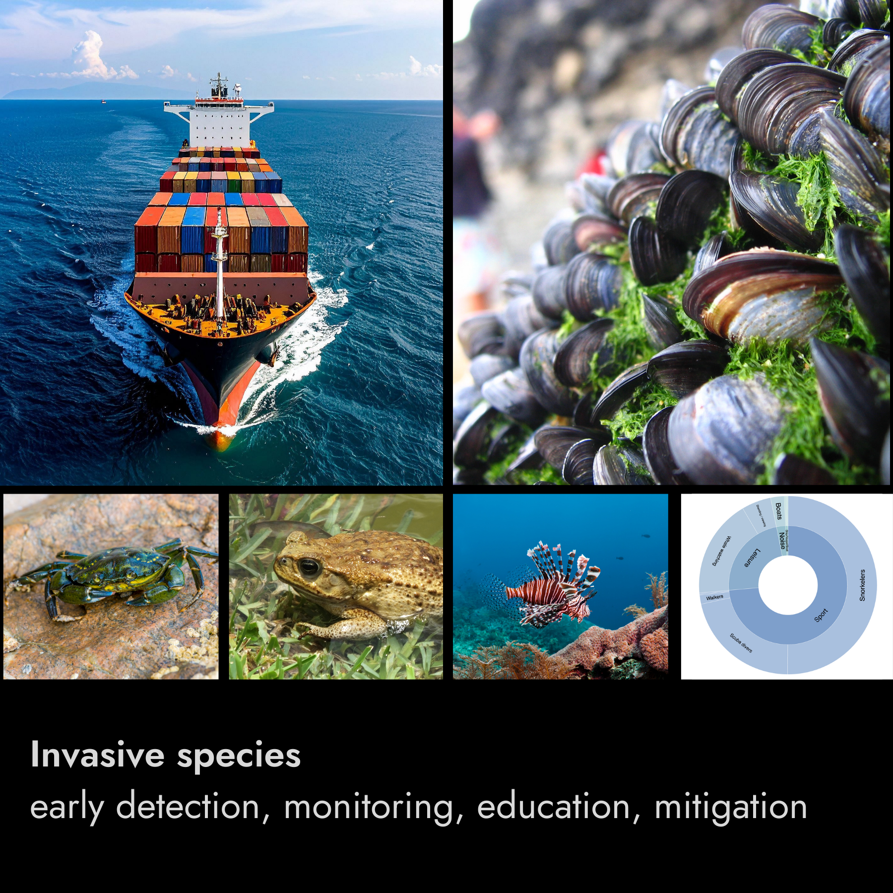 A collage of images related to invasive species and marine life, including a cargo ship at sea, mussels on a rock, a crab, a frog, a lionfish in coral reef, and a diagram of invasive species management. The text at the bottom reads "Invasive species, early detection, monitoring, education, mitigation."