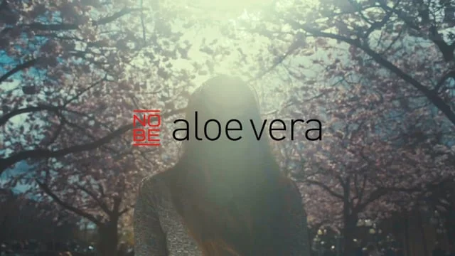 NOBE aloe vera X Seoulsisters
