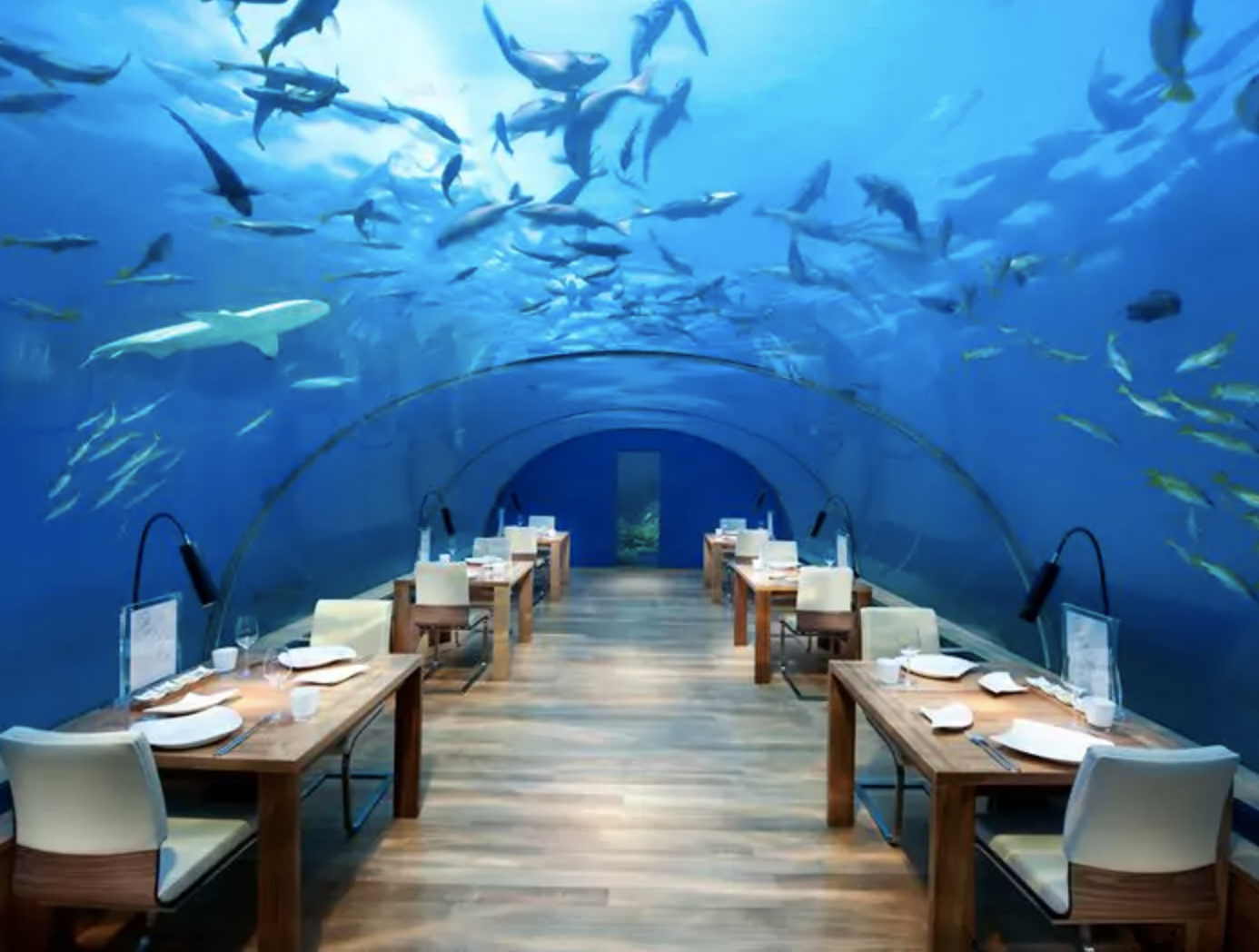 Ithaa Restaurant, Courtesy Conrad Maldives Rangali Island