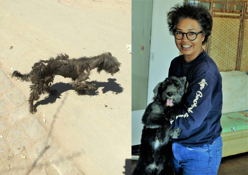 Happy Endings β SOS Animal Rescue Madagascar Happy Endings β SOS Animal Rescue Madagascar