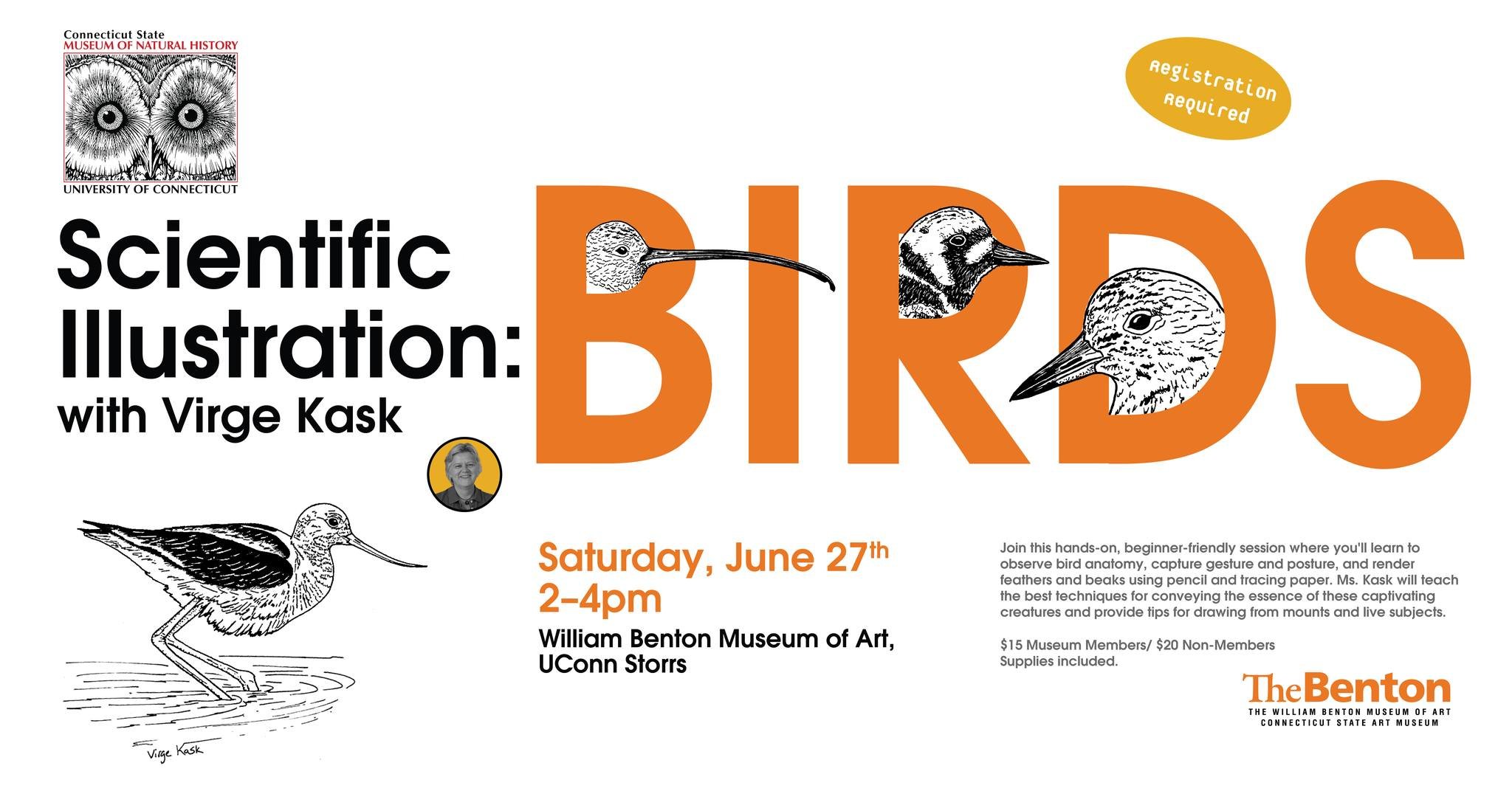 Scientific Illustration of Birds