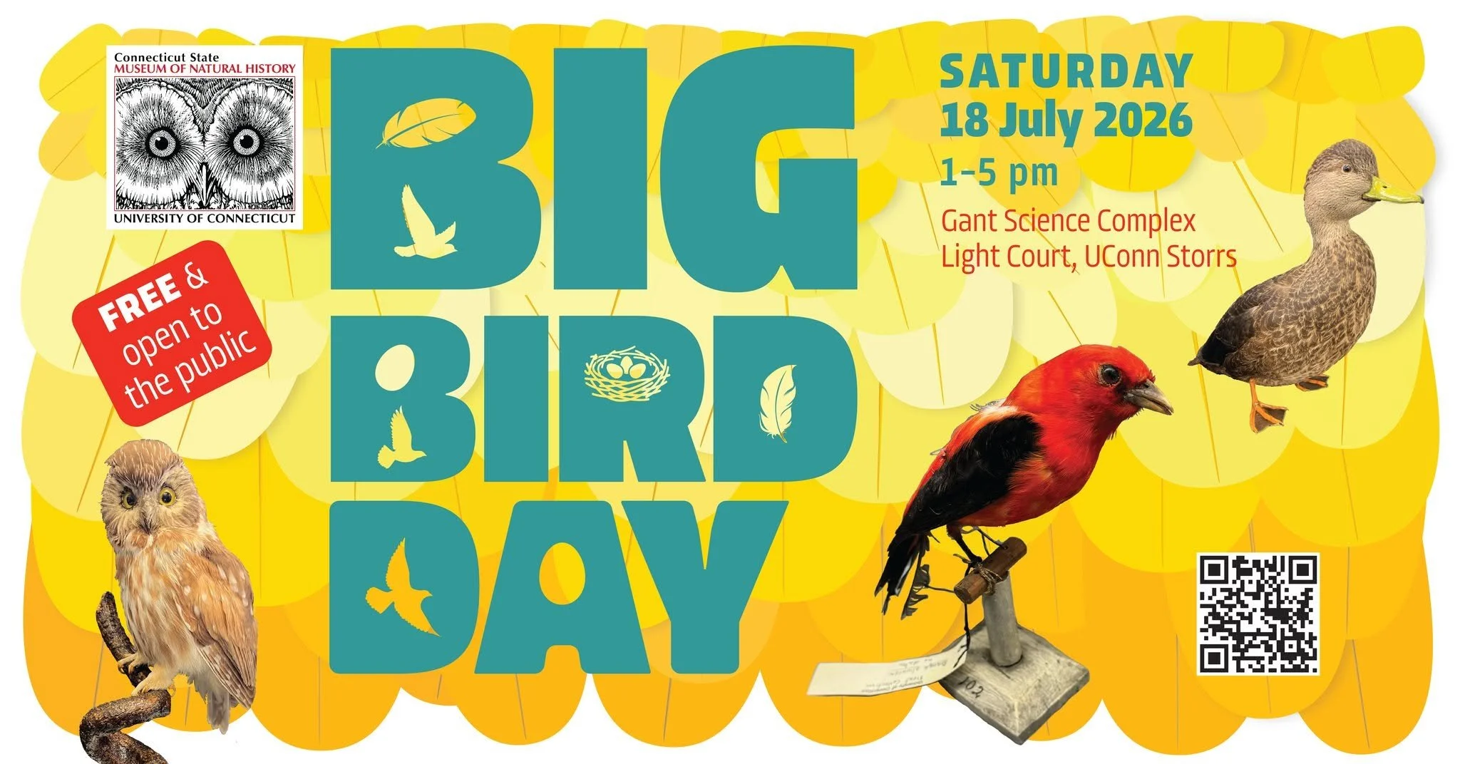 Big Bird Day!