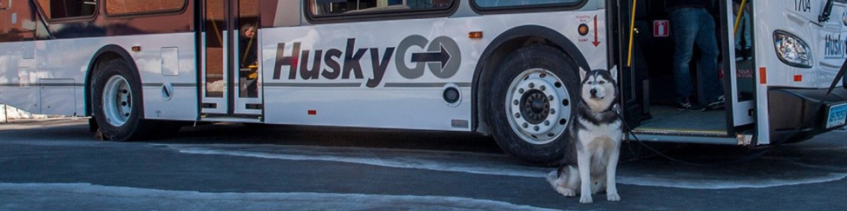 Jonathan the Husky sits in front of a bus that has the words "HuskyGo" written on the side