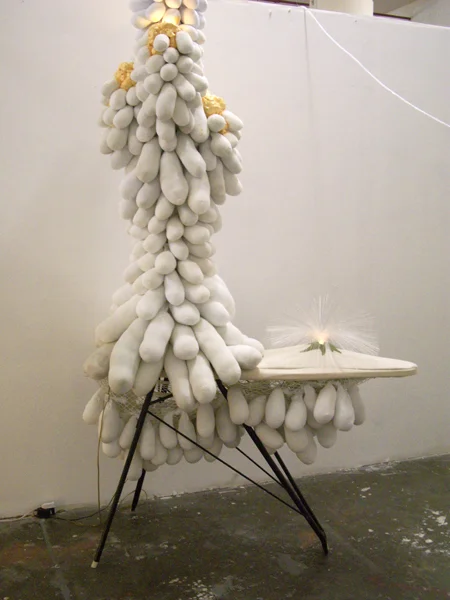Socktus, 2007  