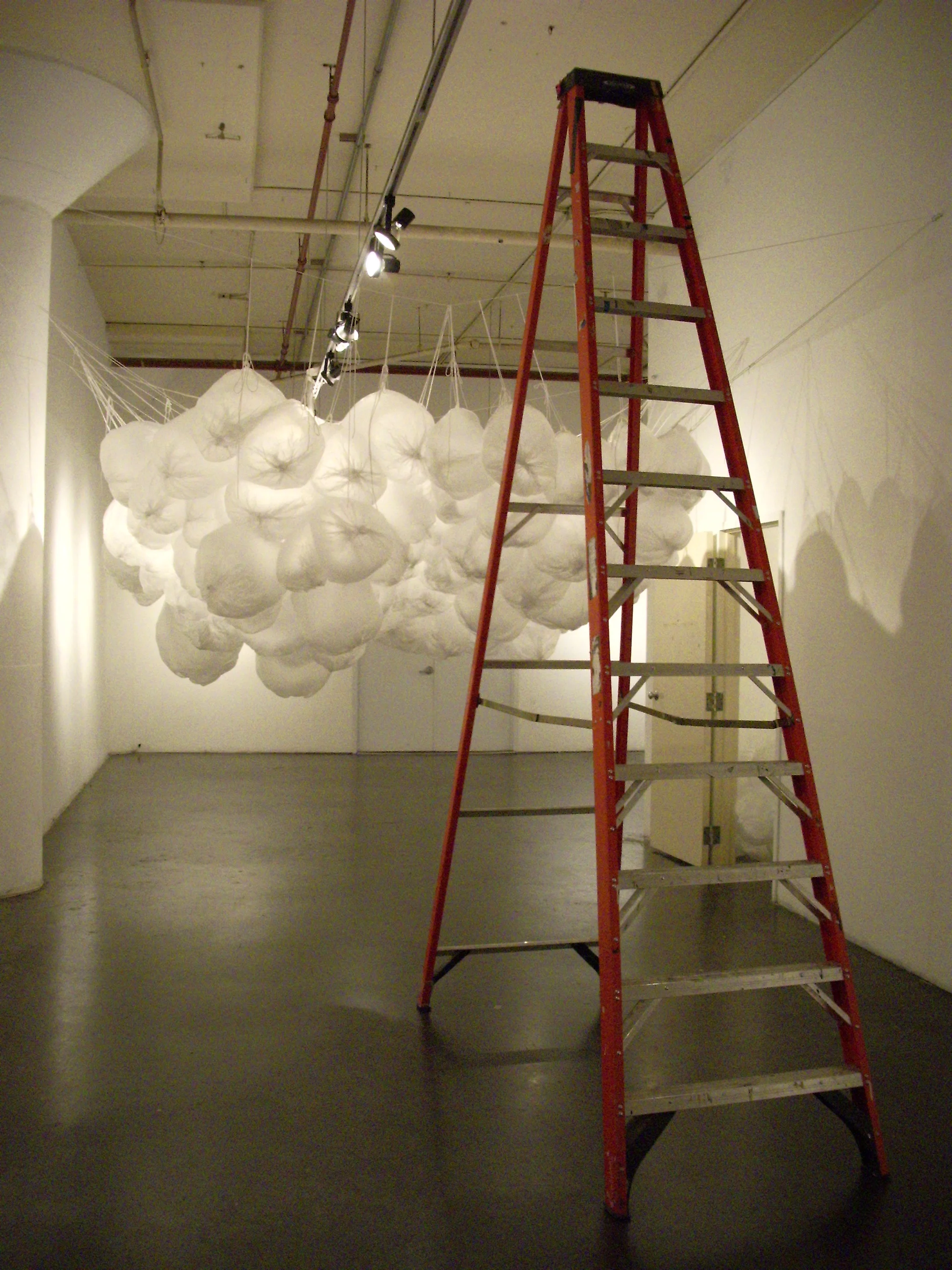 Proliferaholic 080.jpg
