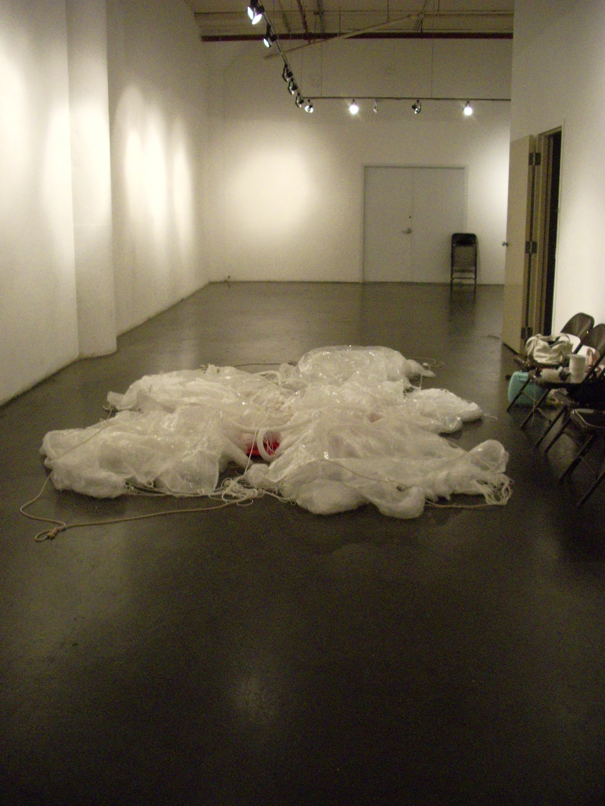 Proliferophiliaholic 064.jpg