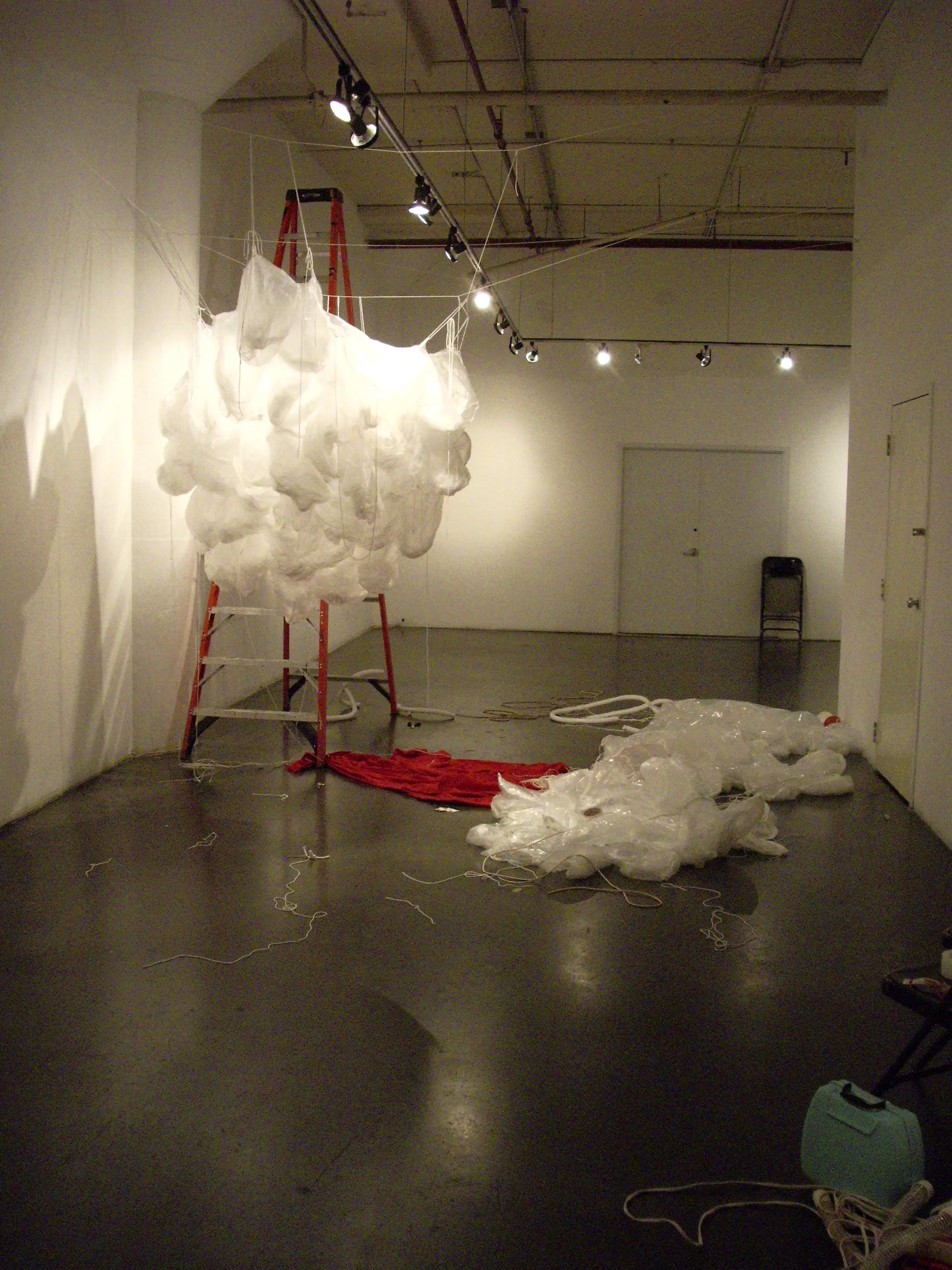 Proliferophiliaholic 065.jpg