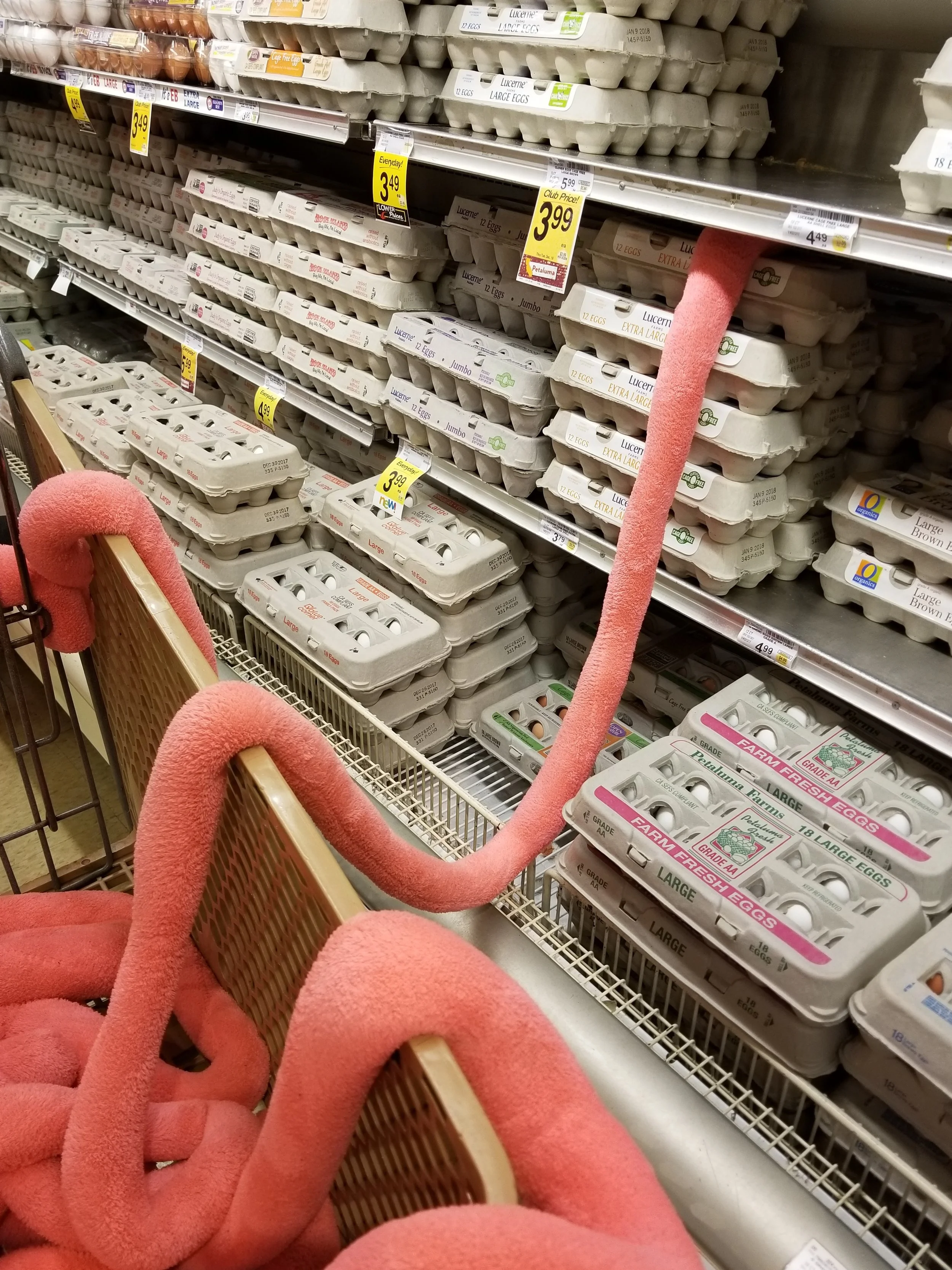 20171216_175045.jpg