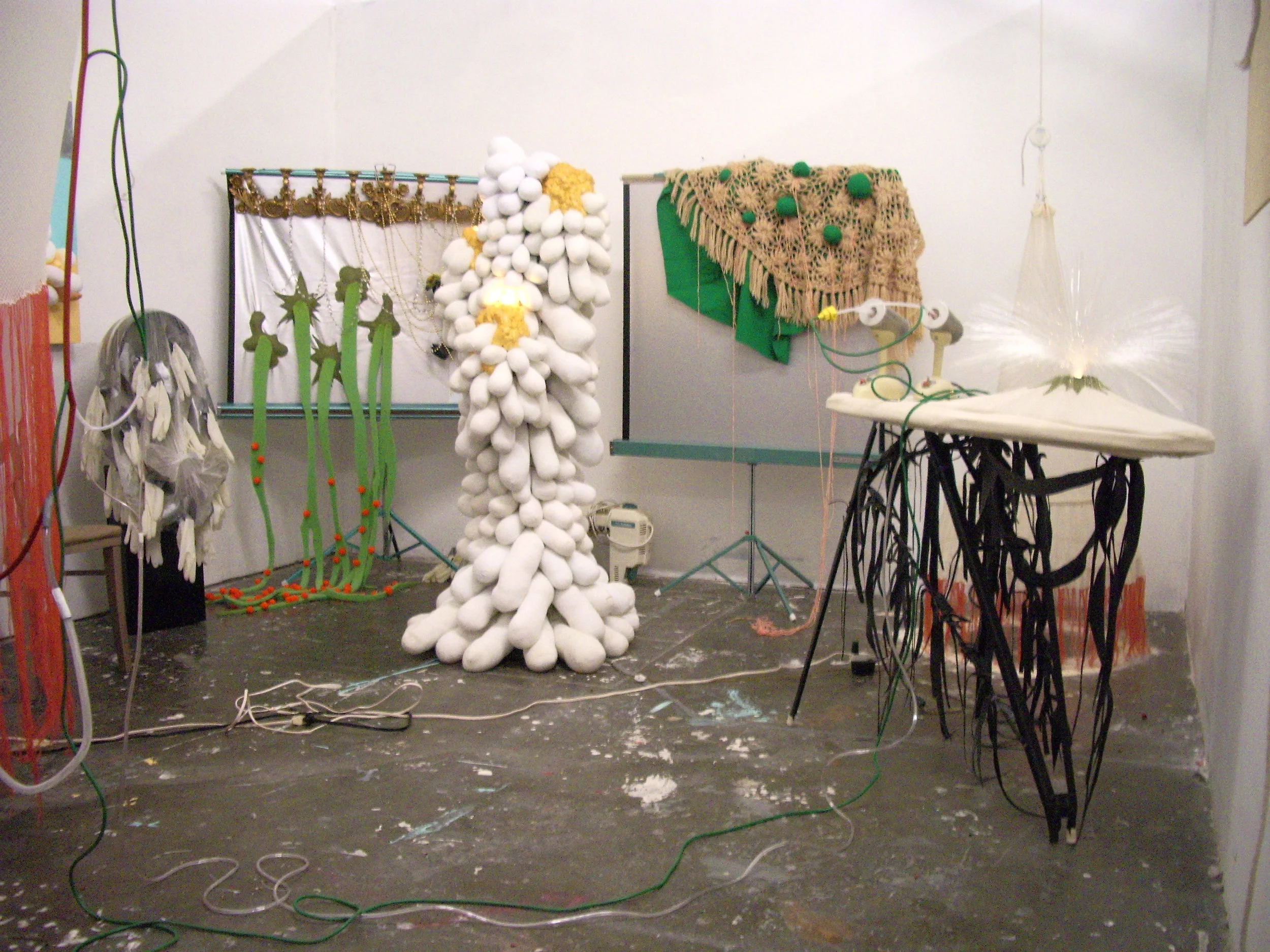 Sex machine tied to Cocktus.JPG