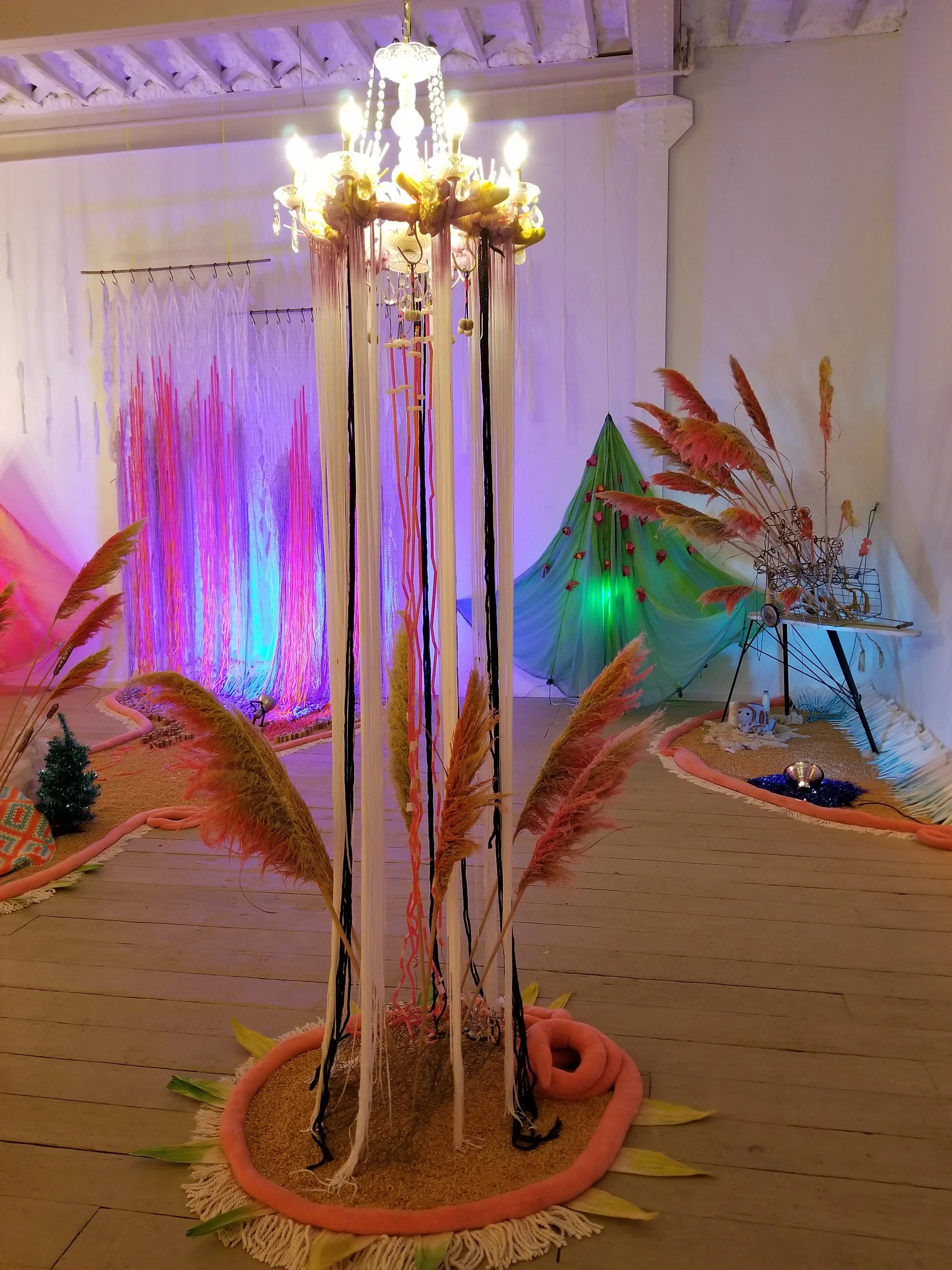 20180504_203224 copy.jpg