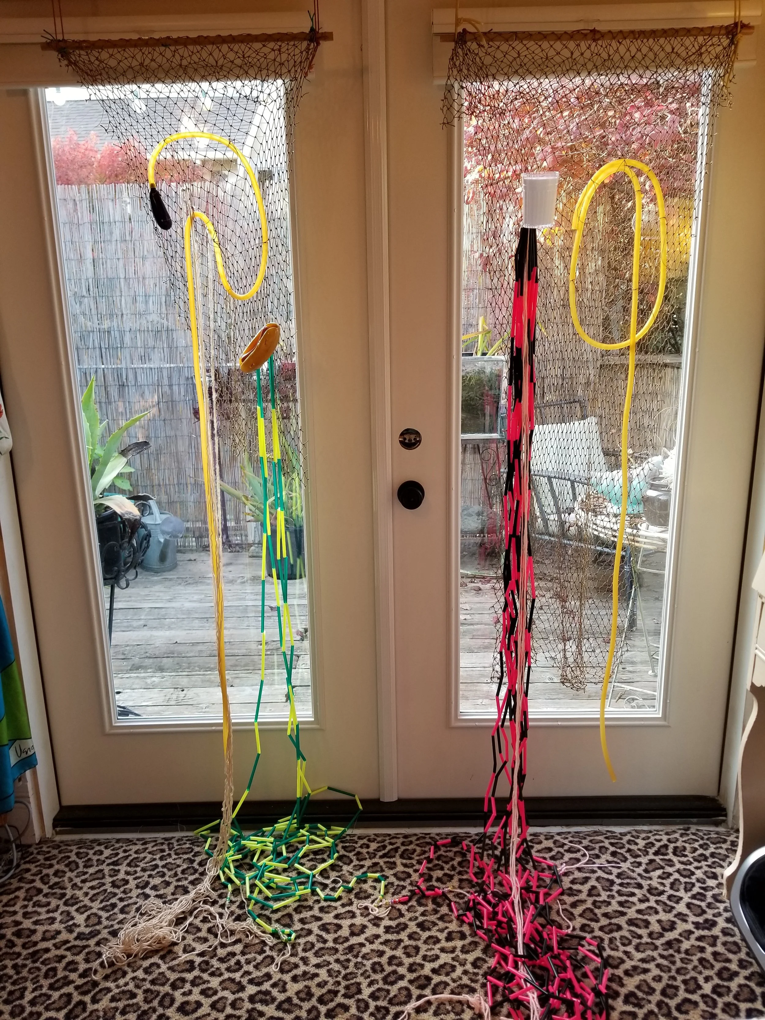 20181119_152033.jpg