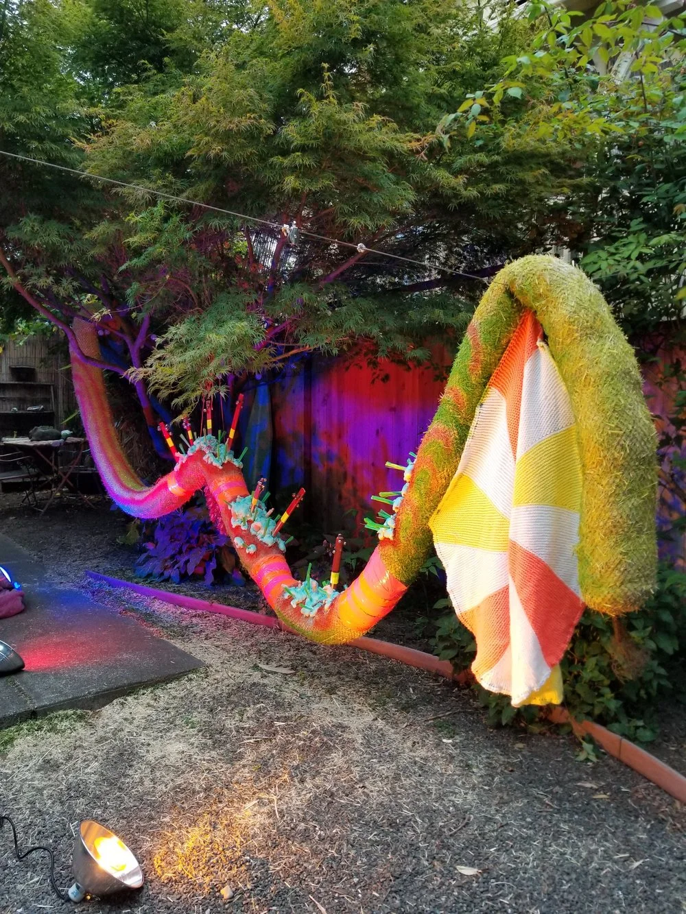 20180806_201023.jpg
