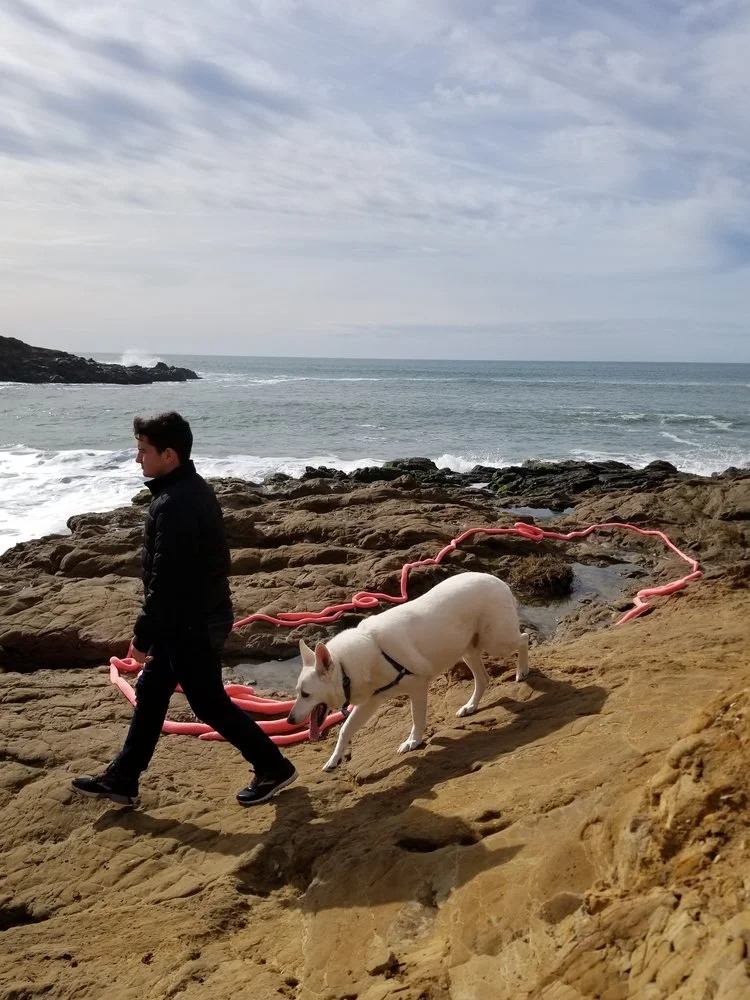 20190126_134546.jpg