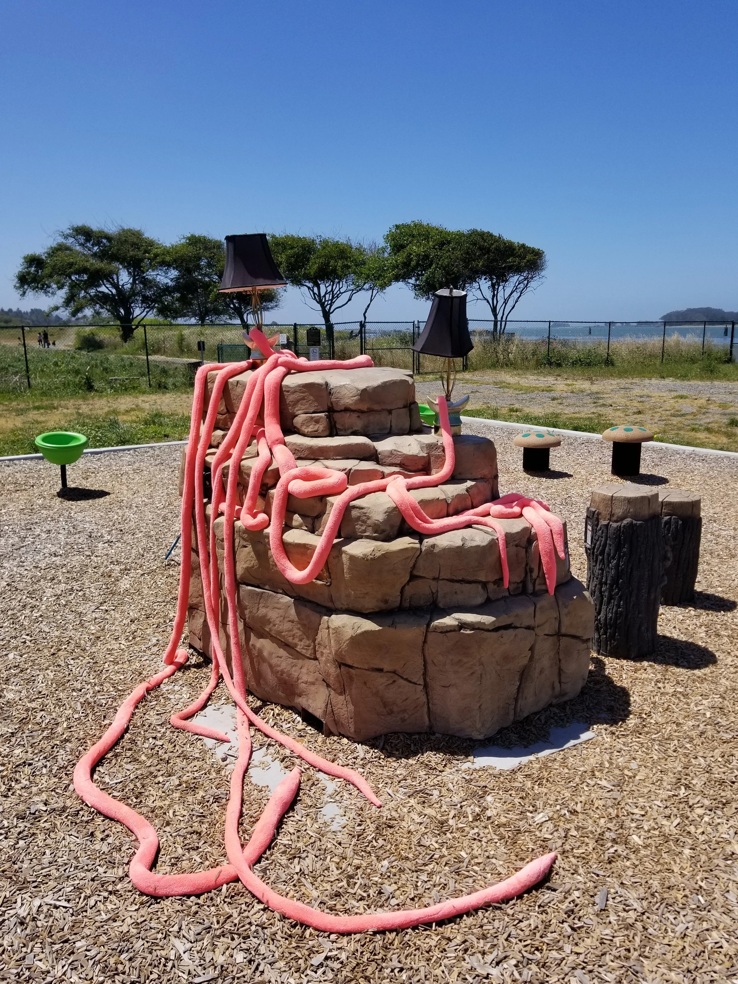 20190622_121811.jpg