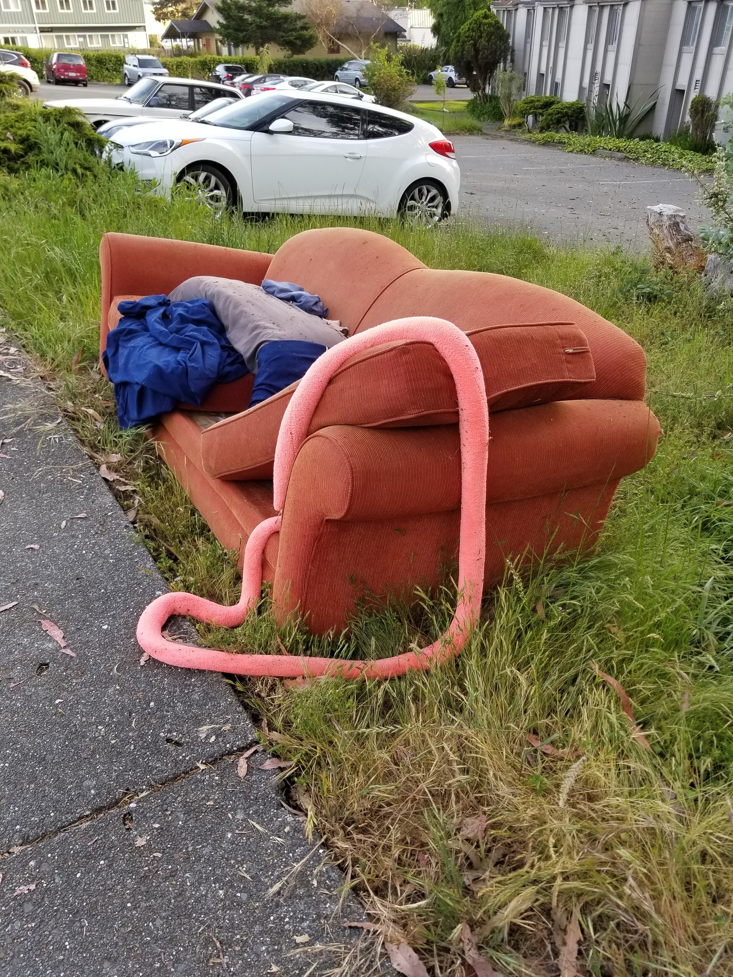 20190608_190847.jpg