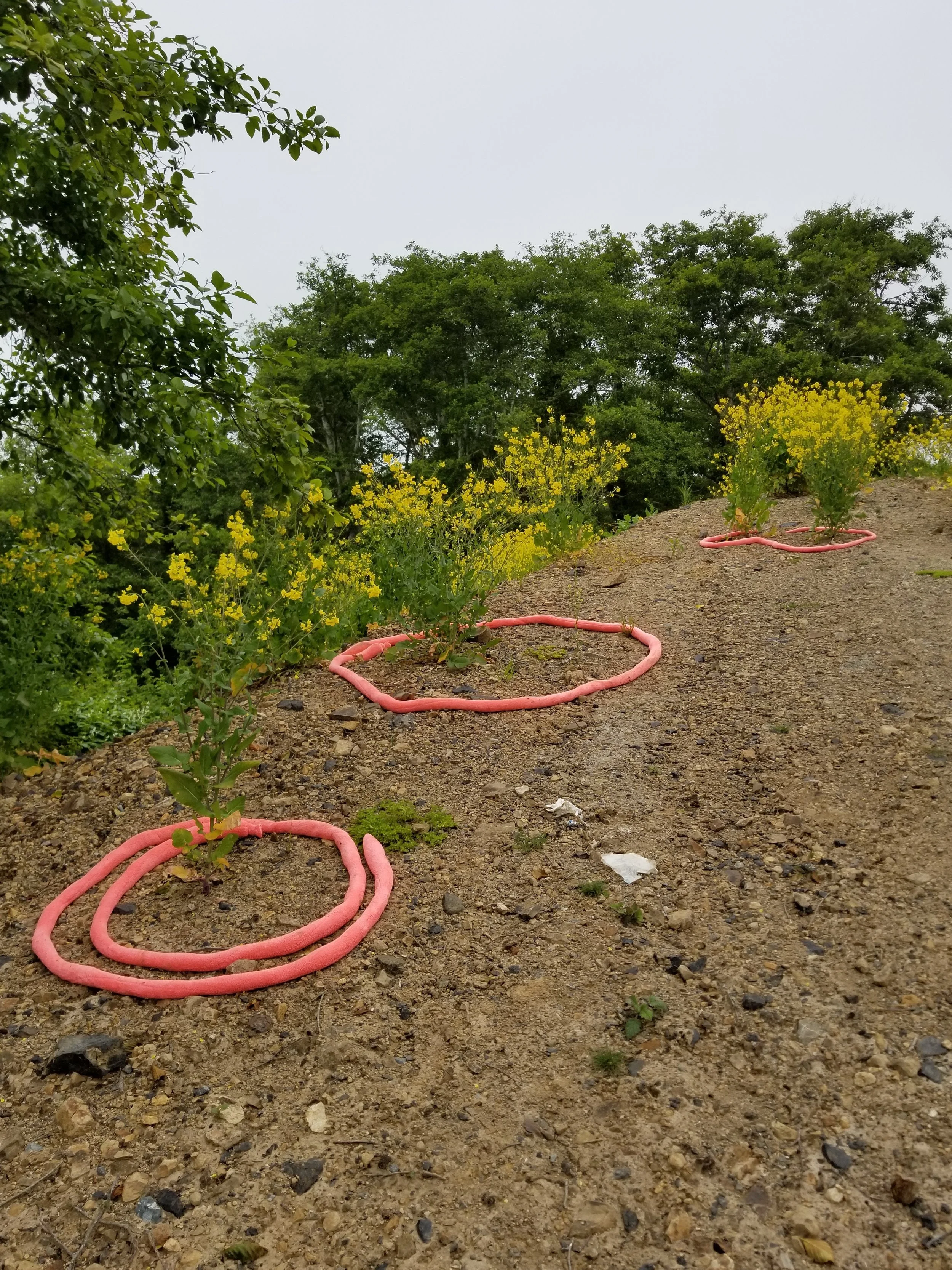 20190602_191349.jpg
