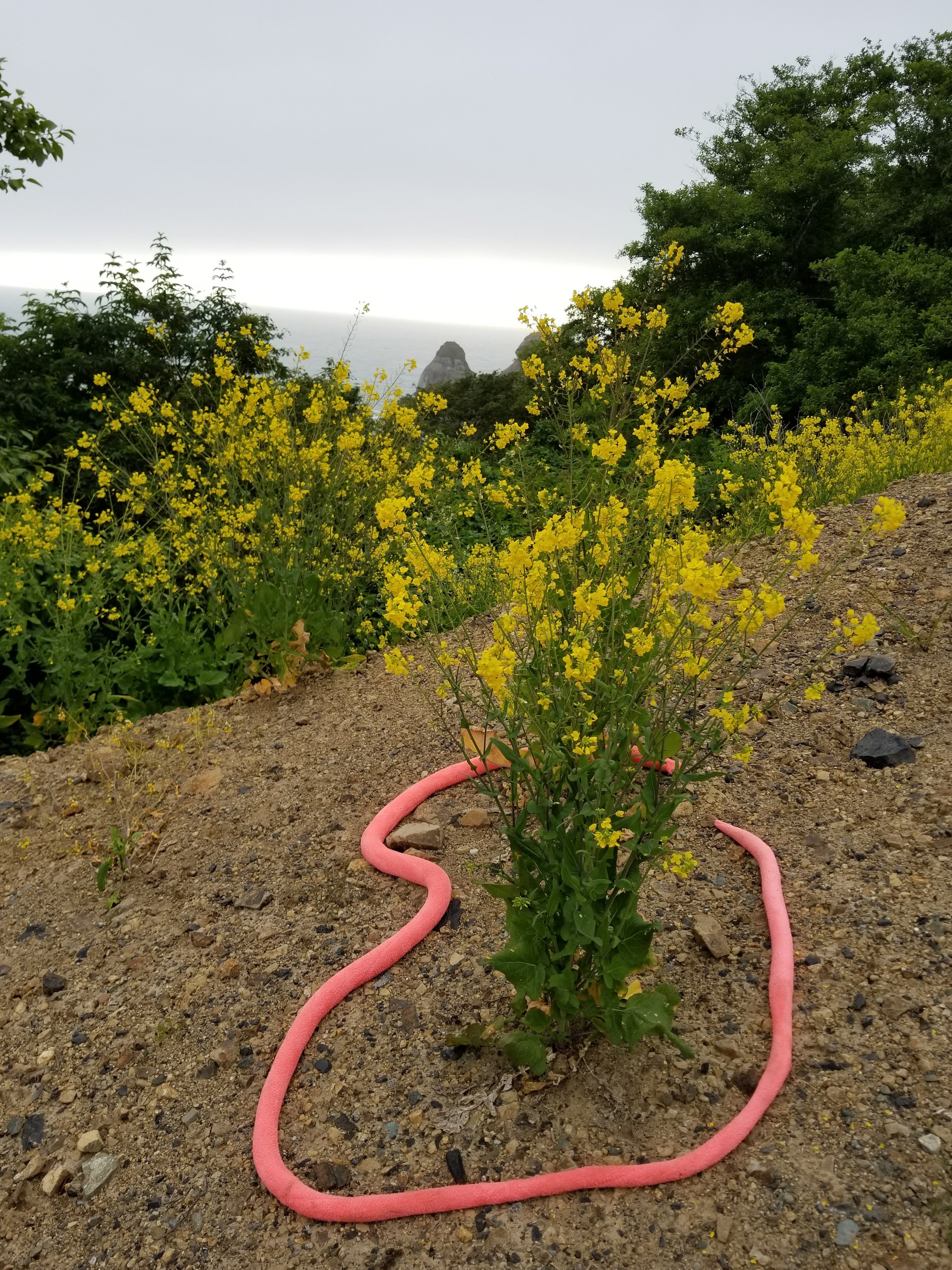 20190602_191430.jpg