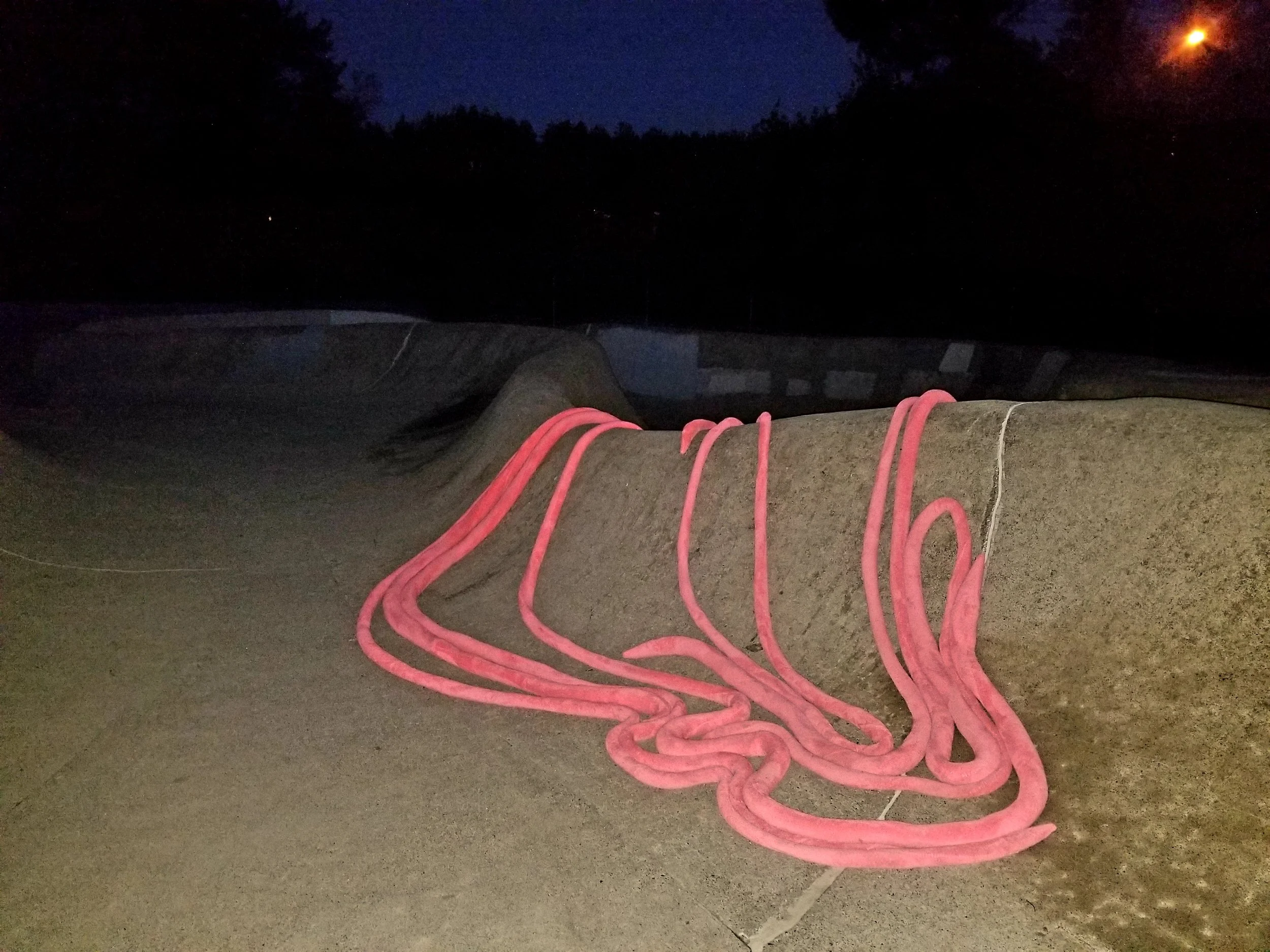 20171218_185553.jpg