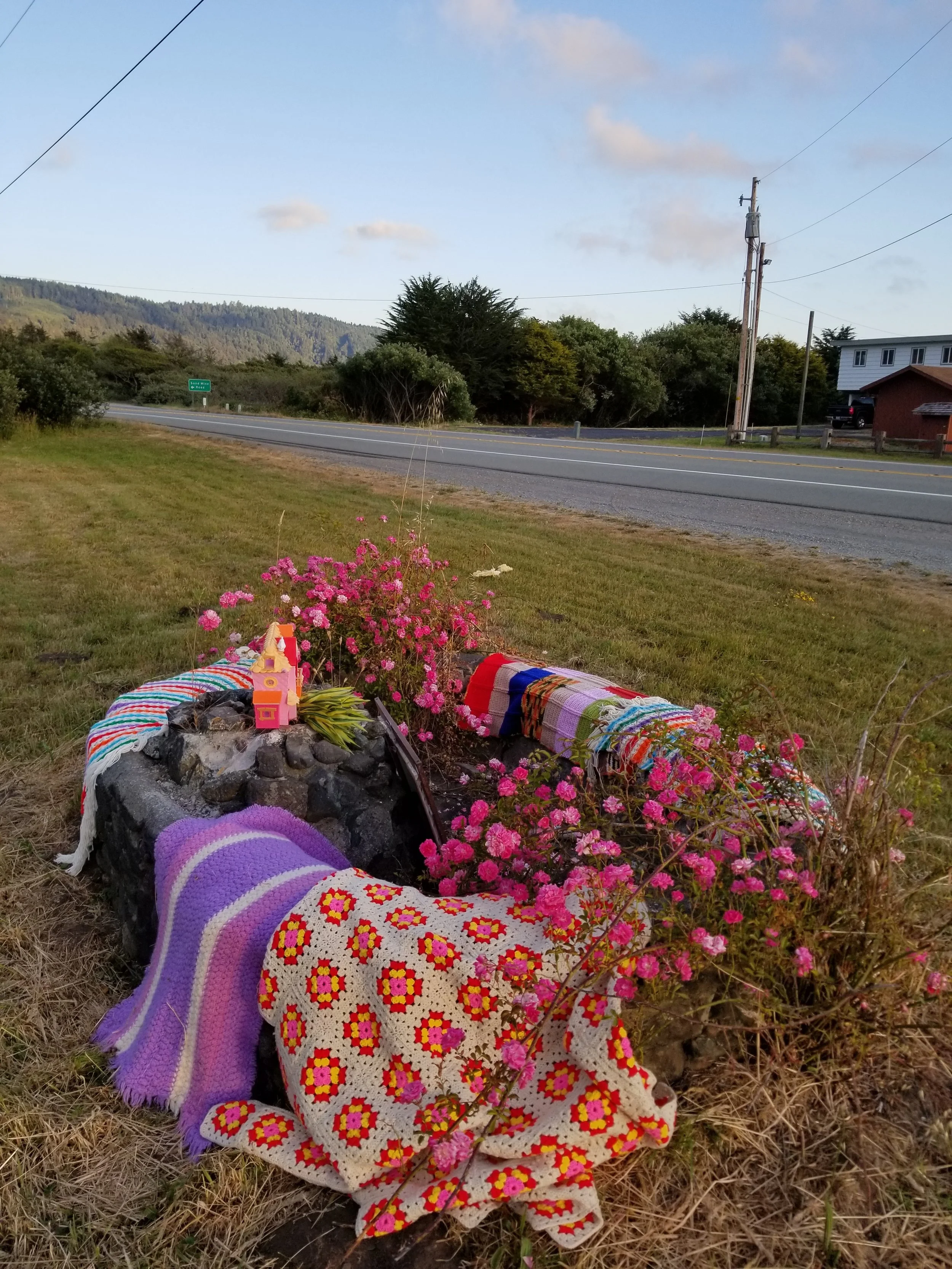 20190628_201420.jpg