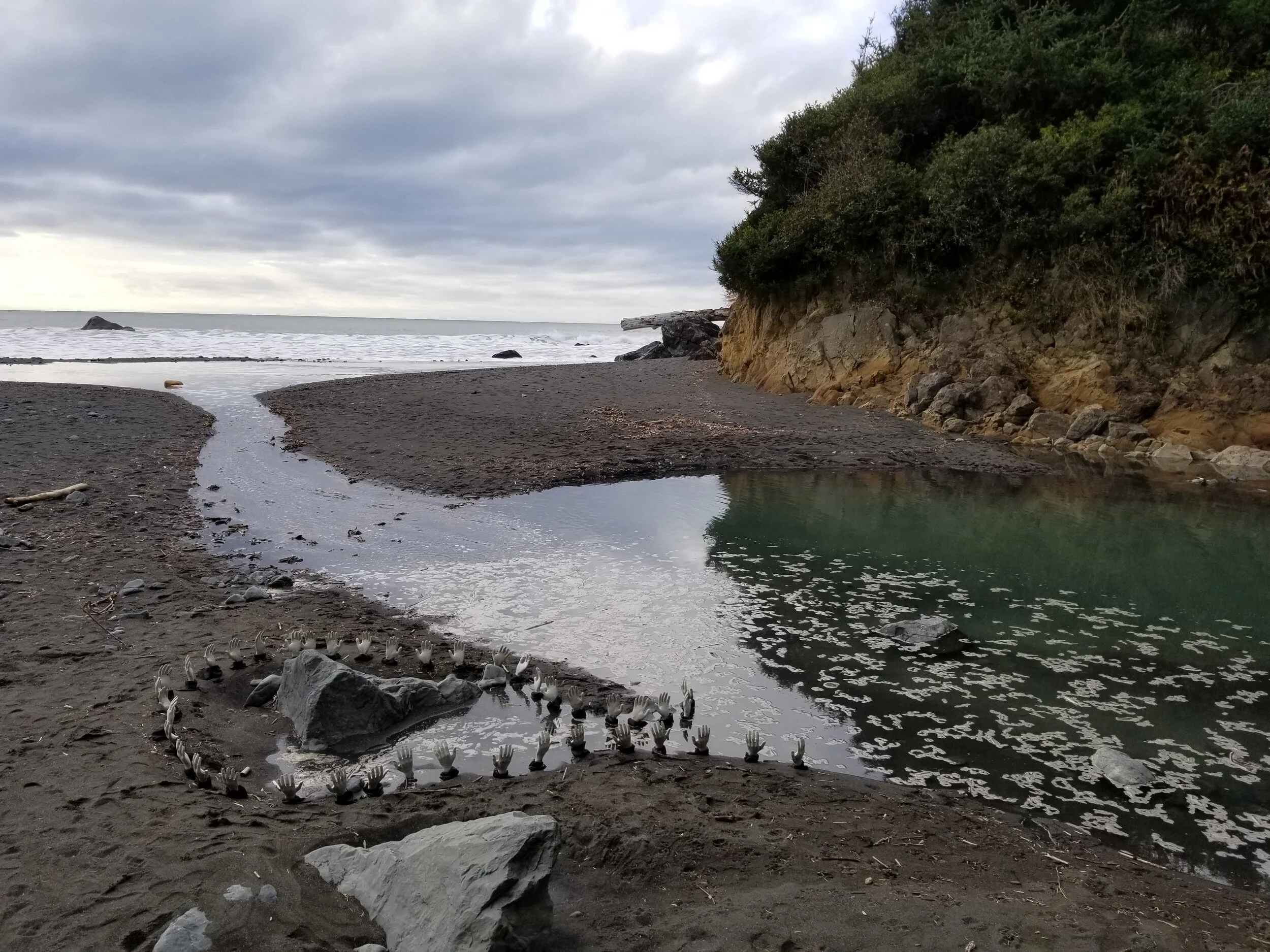 20191201_141013.jpg
