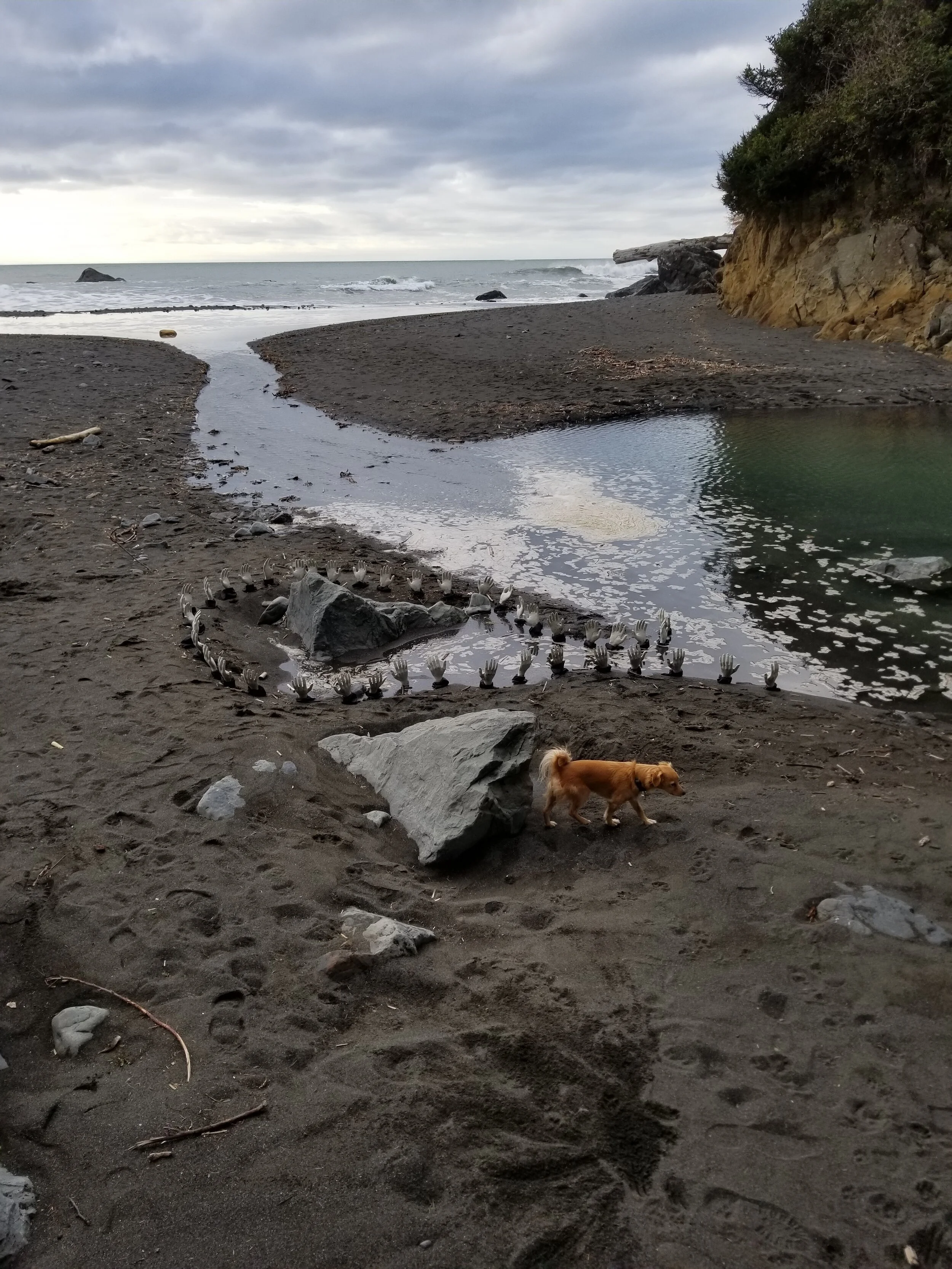 20191201_141207.jpg