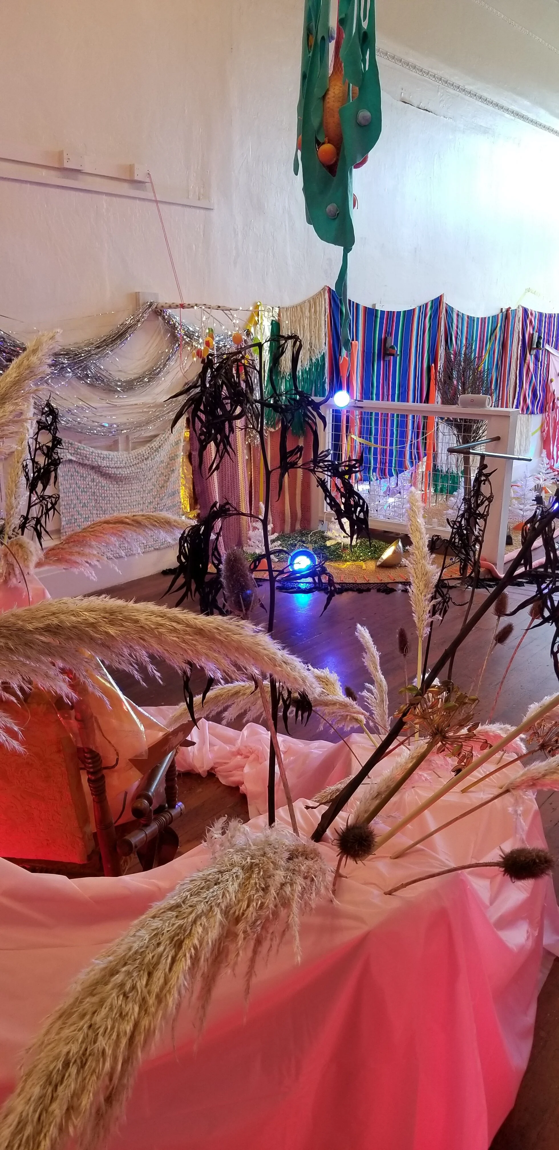 20201108_150434.jpg
