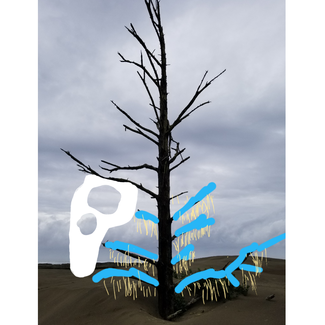 textgram_1640108600.png