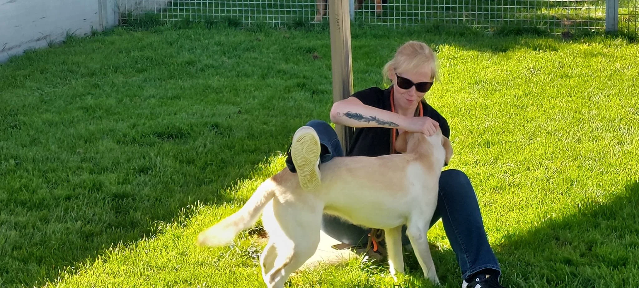 WhatsApp Image 2023-10-11 at 10.19.57.jpeg