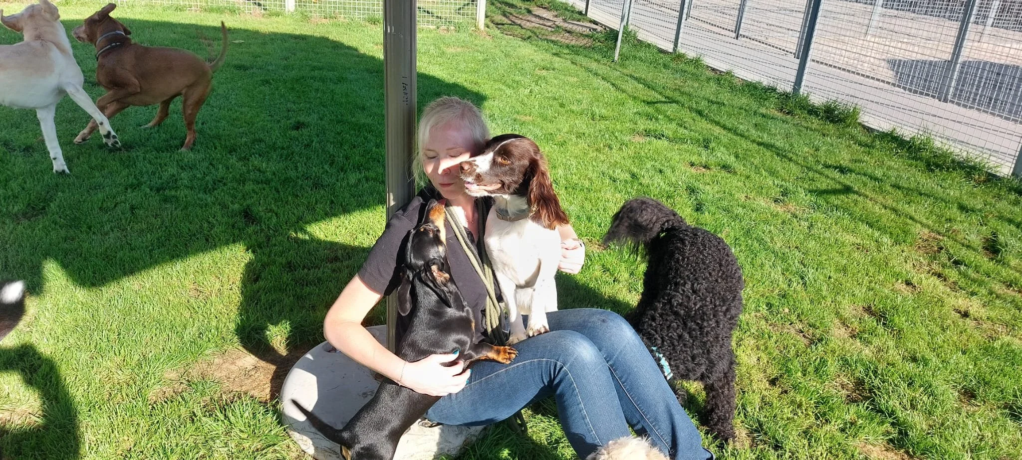 WhatsApp Image 2023-10-11 at 10.20.01 (2).jpeg