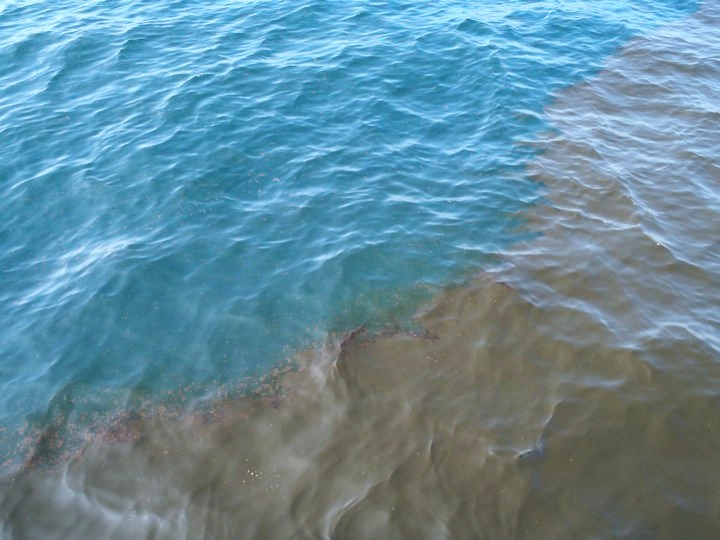 GoM_OilSpill_6.jpg