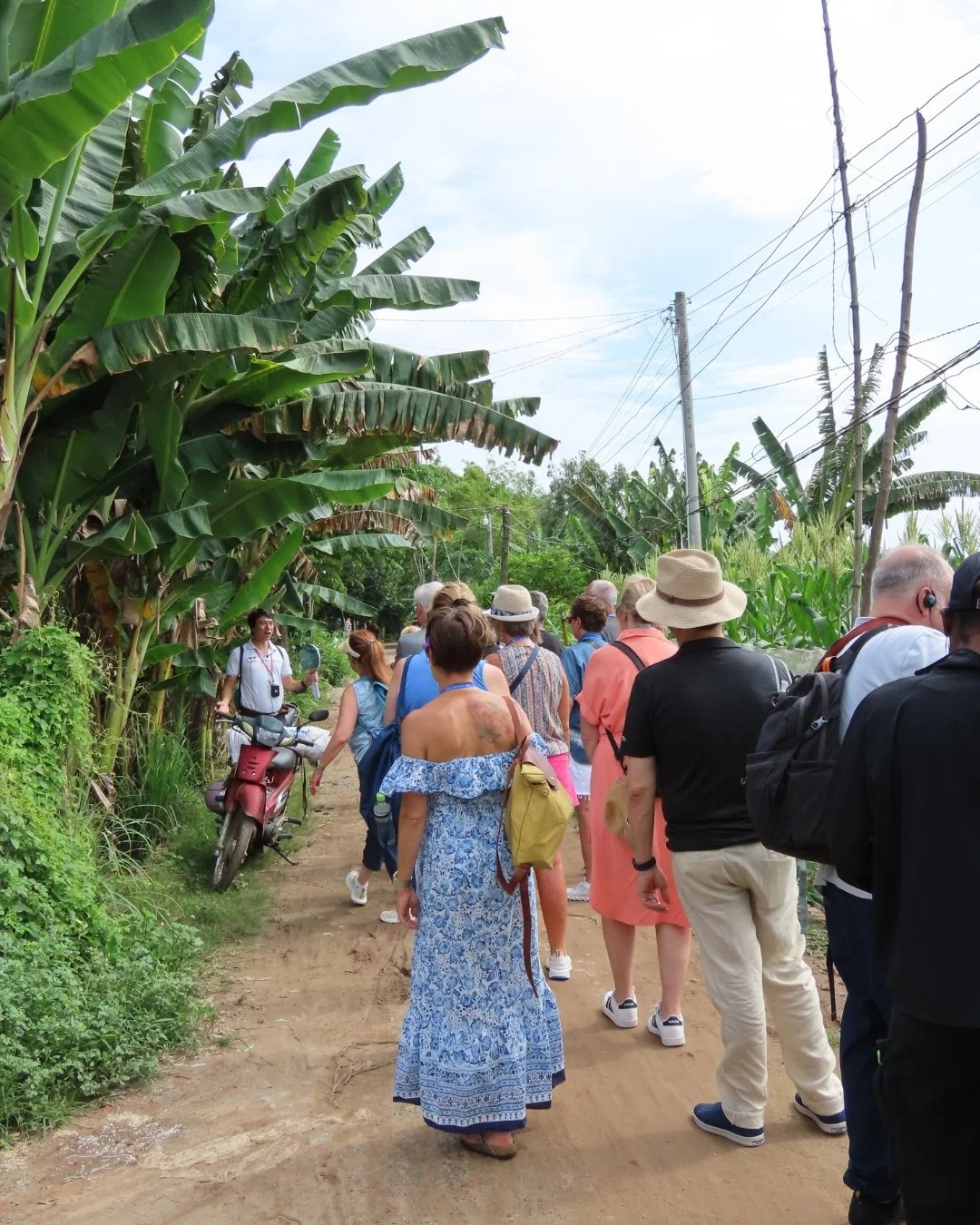 The best time of year to visit Vietnam, along with other countries along the Mekong, is at the end of the year. 🌍

Connect with me to take an AmaWaterways 7-day Charms of the Mekong river cruise! 🛳️ 🌊 #TravelBetter #CharmsoftheMekong