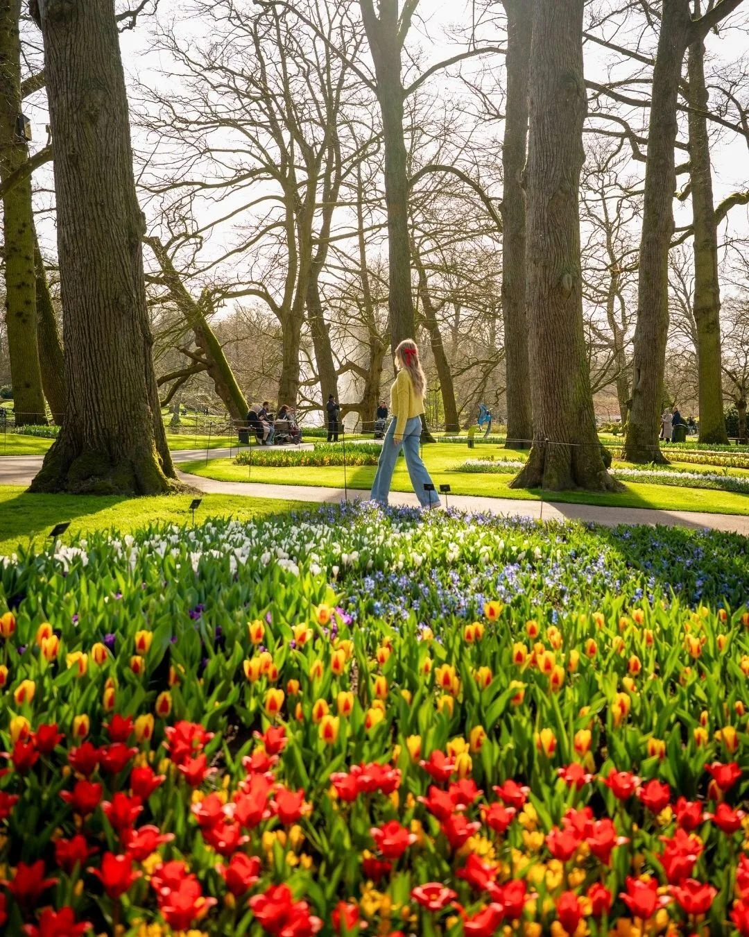 The AmaWaterways Tulip Time sailing is filled with colorful stops, charming cities, and once-in-a-lifetime experiences every day of your trip. ✨🌷

Plan a vacation with me if you want your next trip to Europe to look like this. #TravelBetter #AmaStel