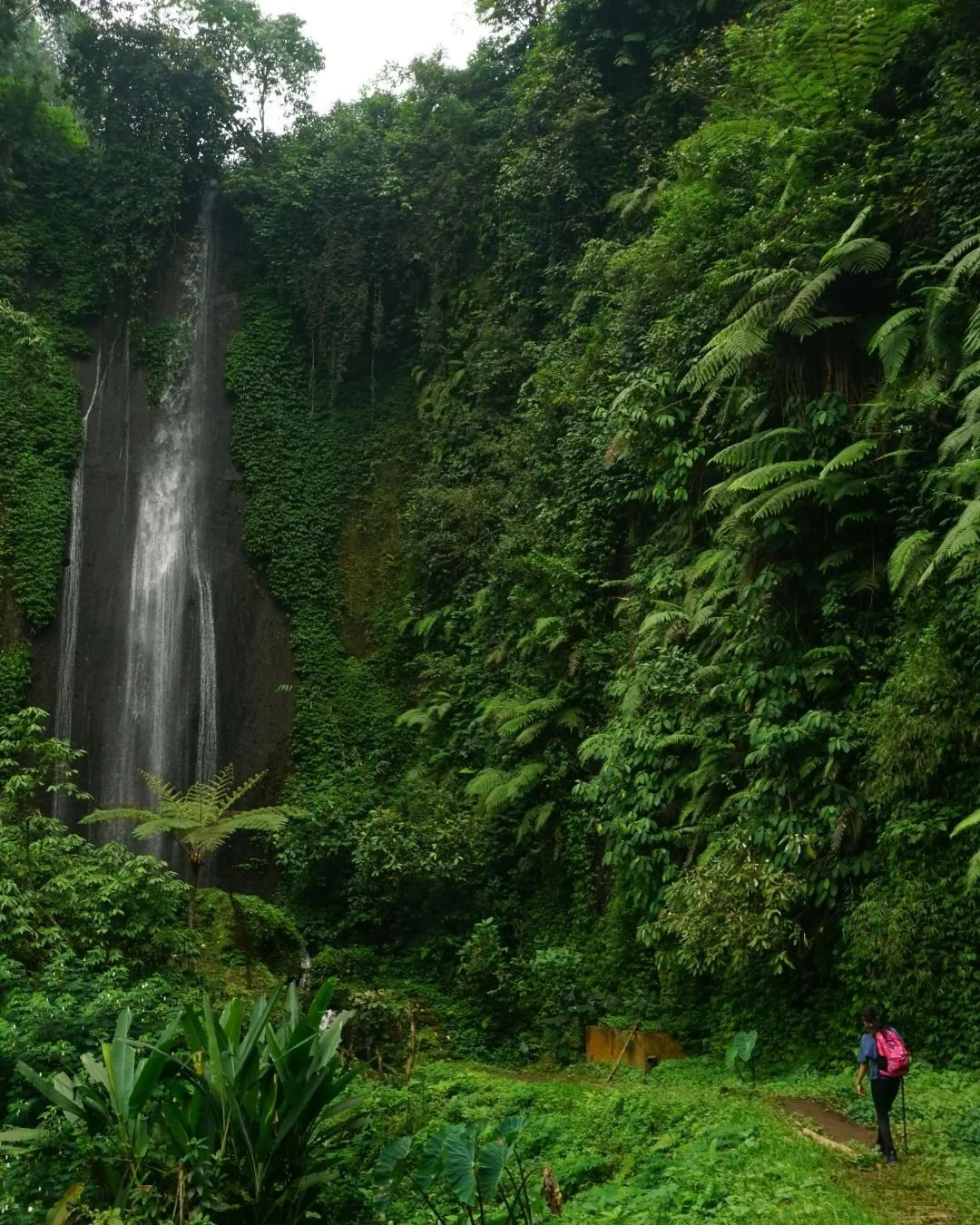 Happy World Environment Day! 🌏

Connect with me if you want to experience nature, wildlife, or visit UNESCO Heritage Sites on your next vacation. 🌳 #WorldEnvironmentDay #TravelAdvisor
