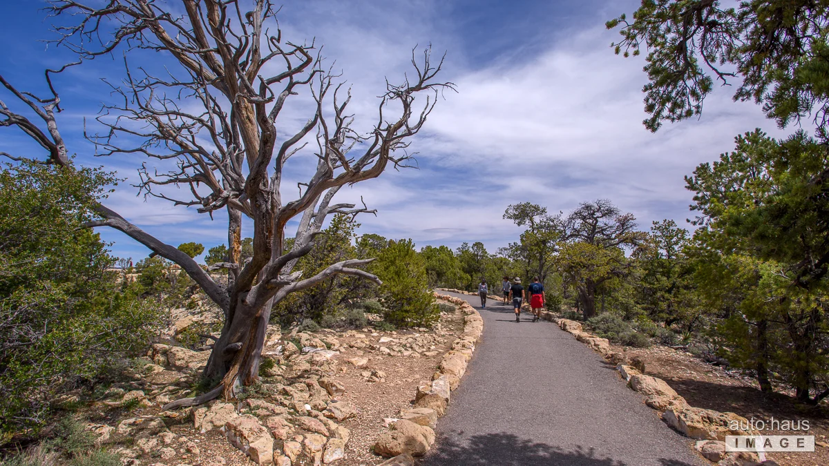 grand canyon 2017-03.jpg