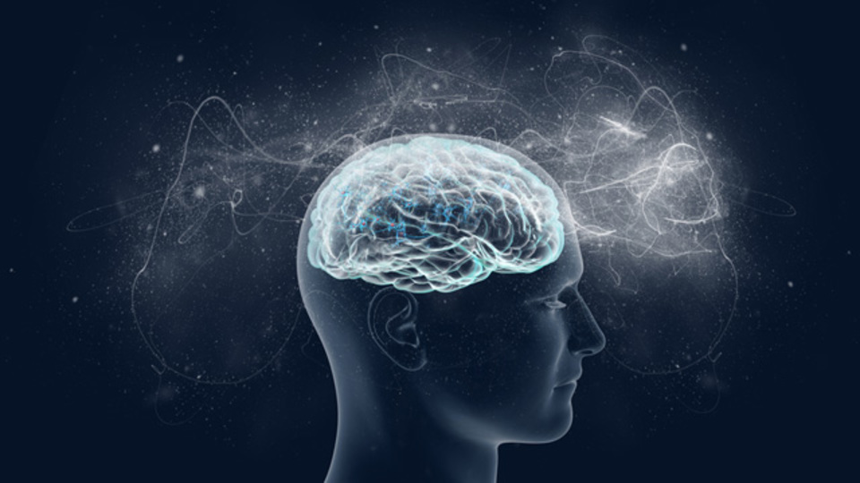 The Science of Transformation - Sermon Notes and Life Group Guide