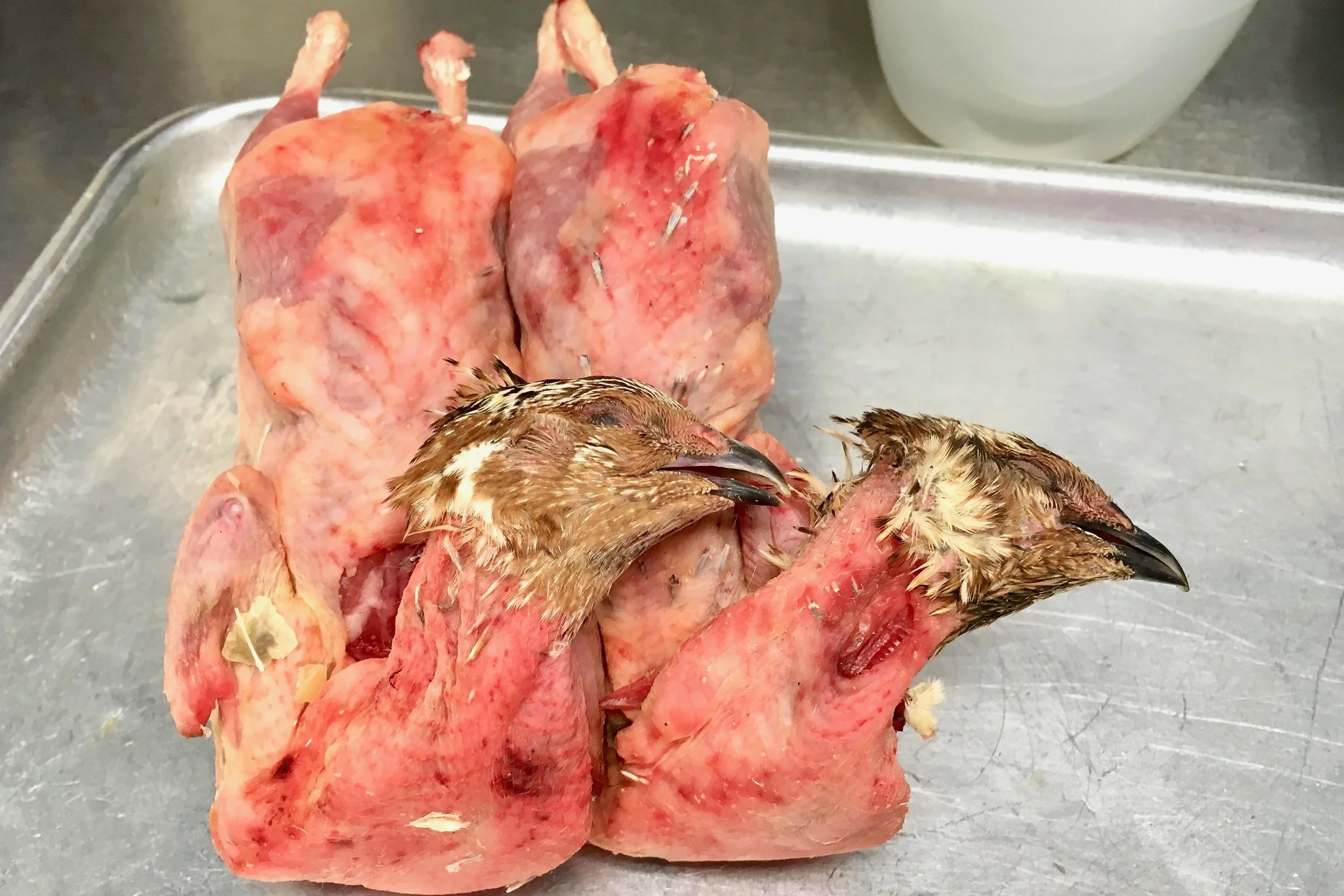 Whole quails, heads on, guts in