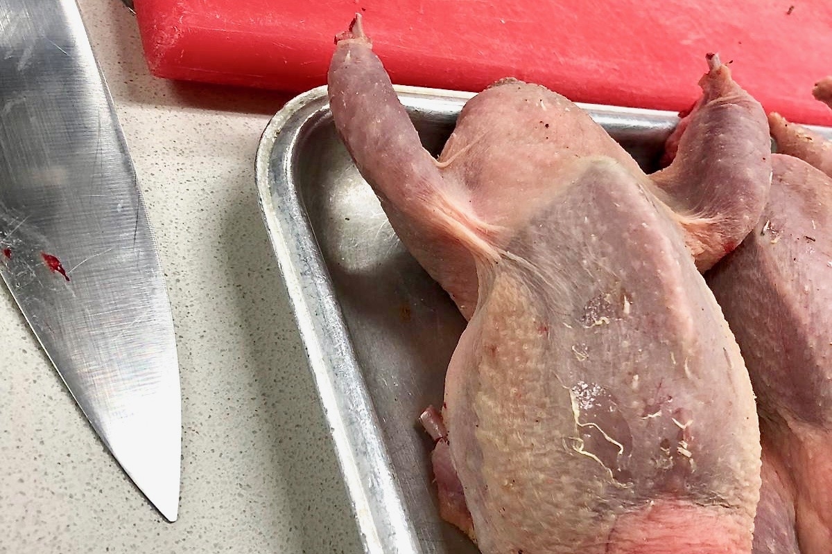 Butchered quail ready for trussing