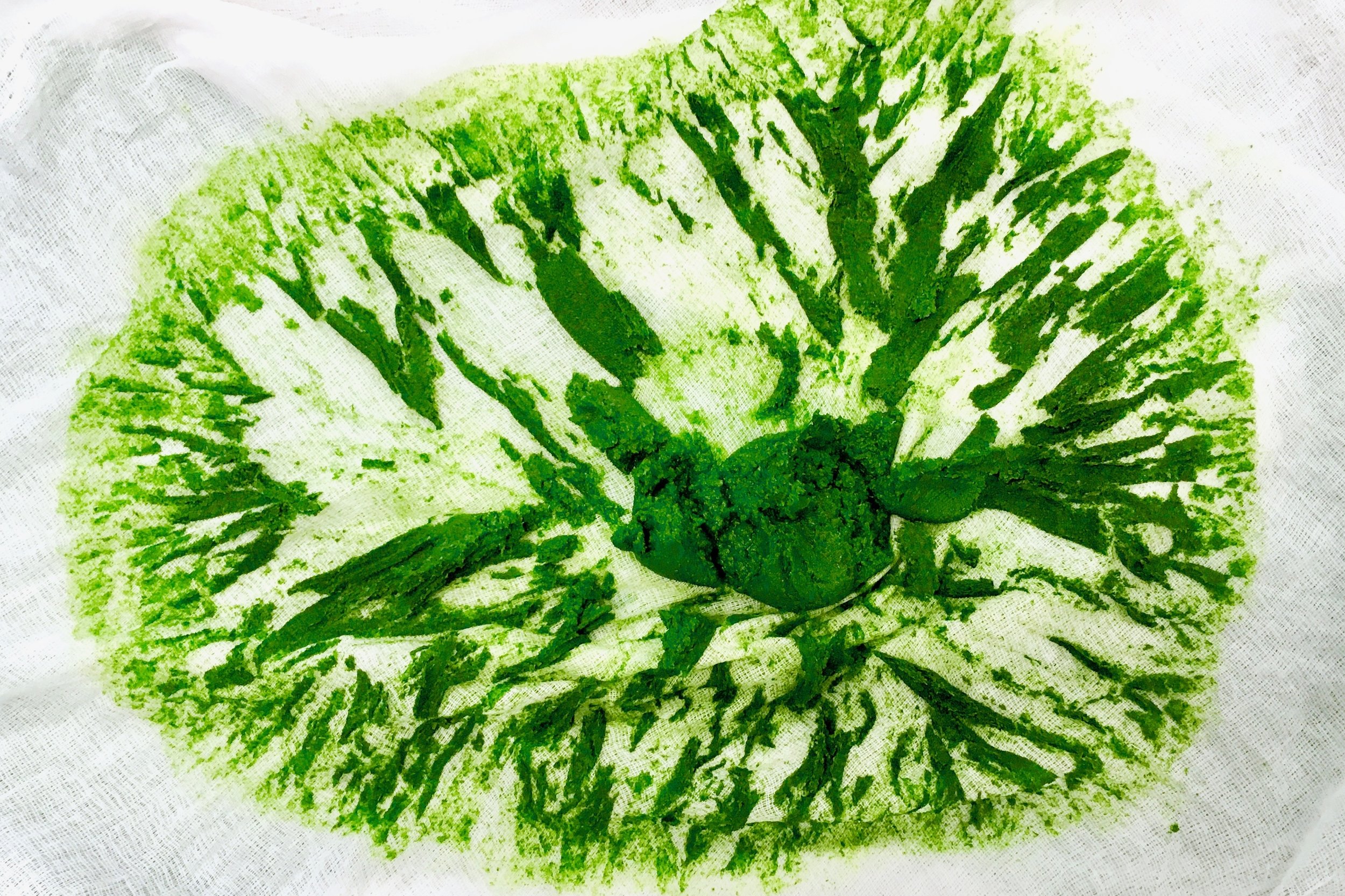 Parsley chlorophyll