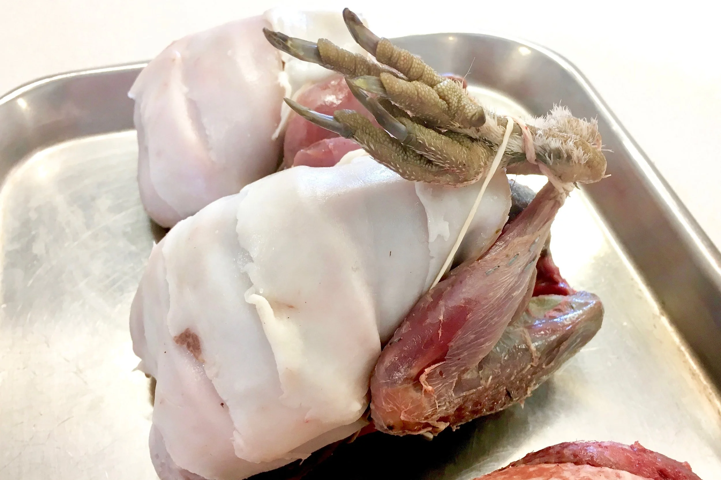 Grouse, larded and trussed