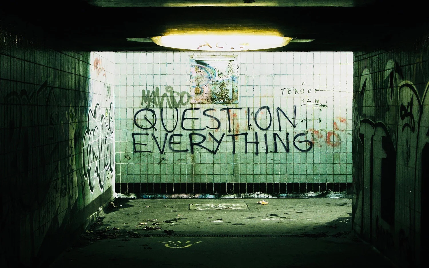 Value and courage of curiosity