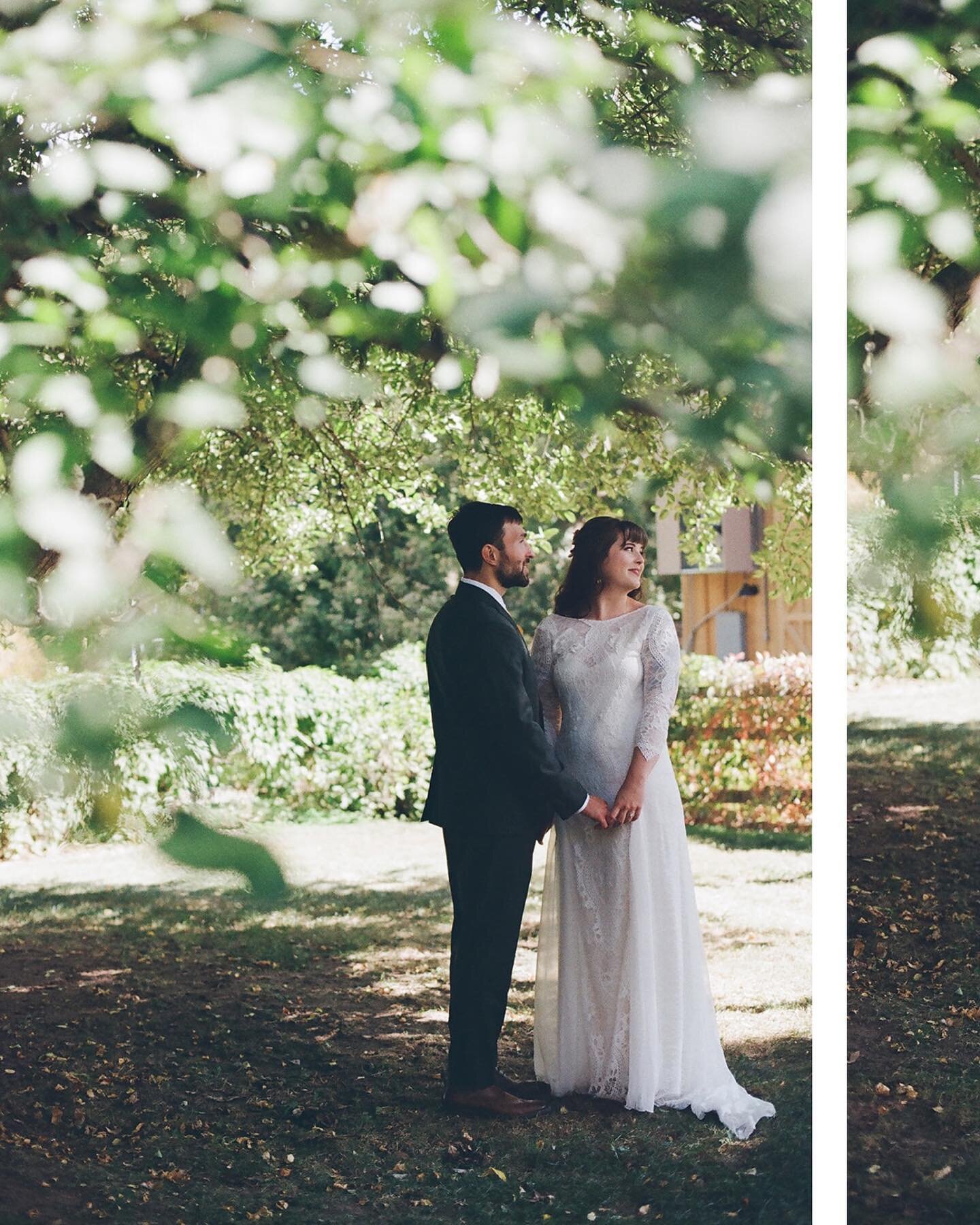 Film on the farm. #35mmfilm 
.
.
.
.
.
#filmisnotdead #boulderwedding #boulderweddingphotographer #destinationwedding #destinationweddingphotographer #filmweddingphotographer