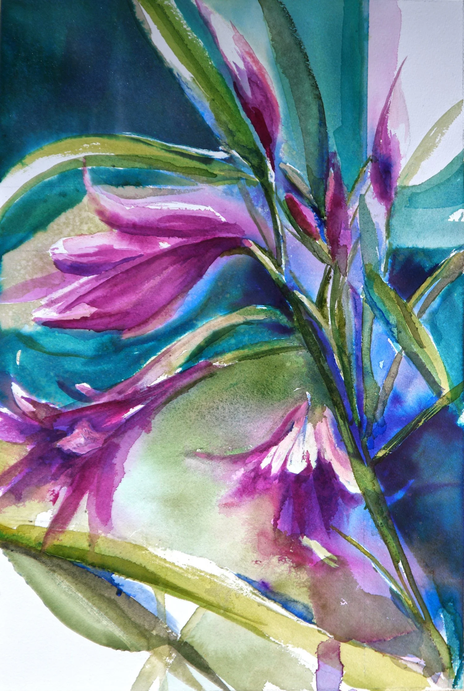 crinium
