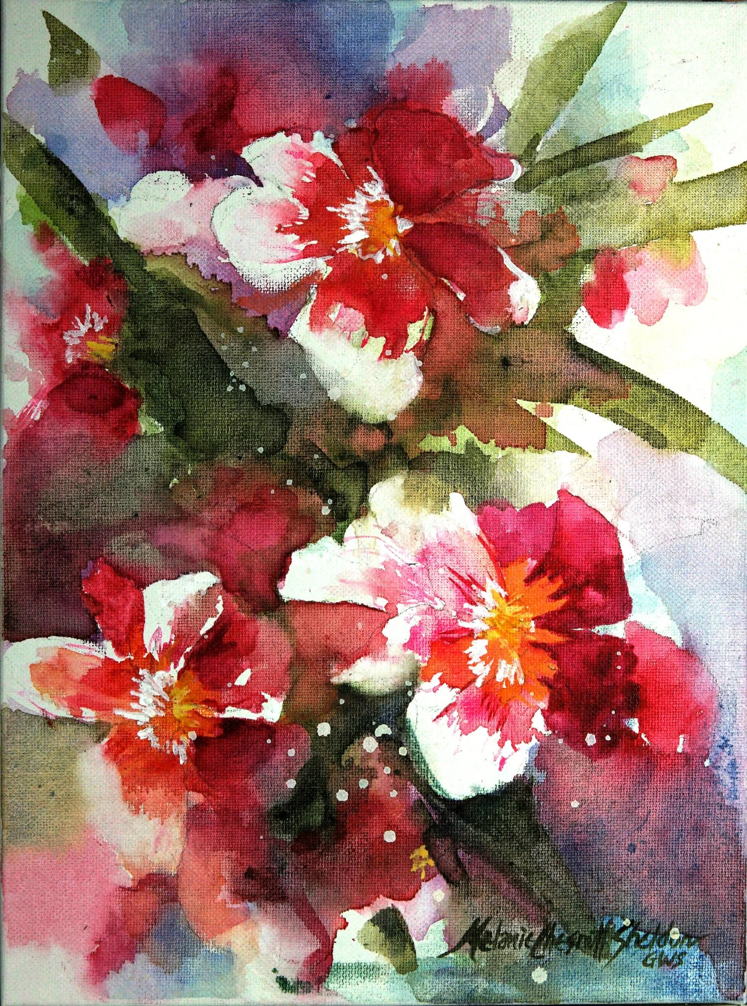 summer pink II