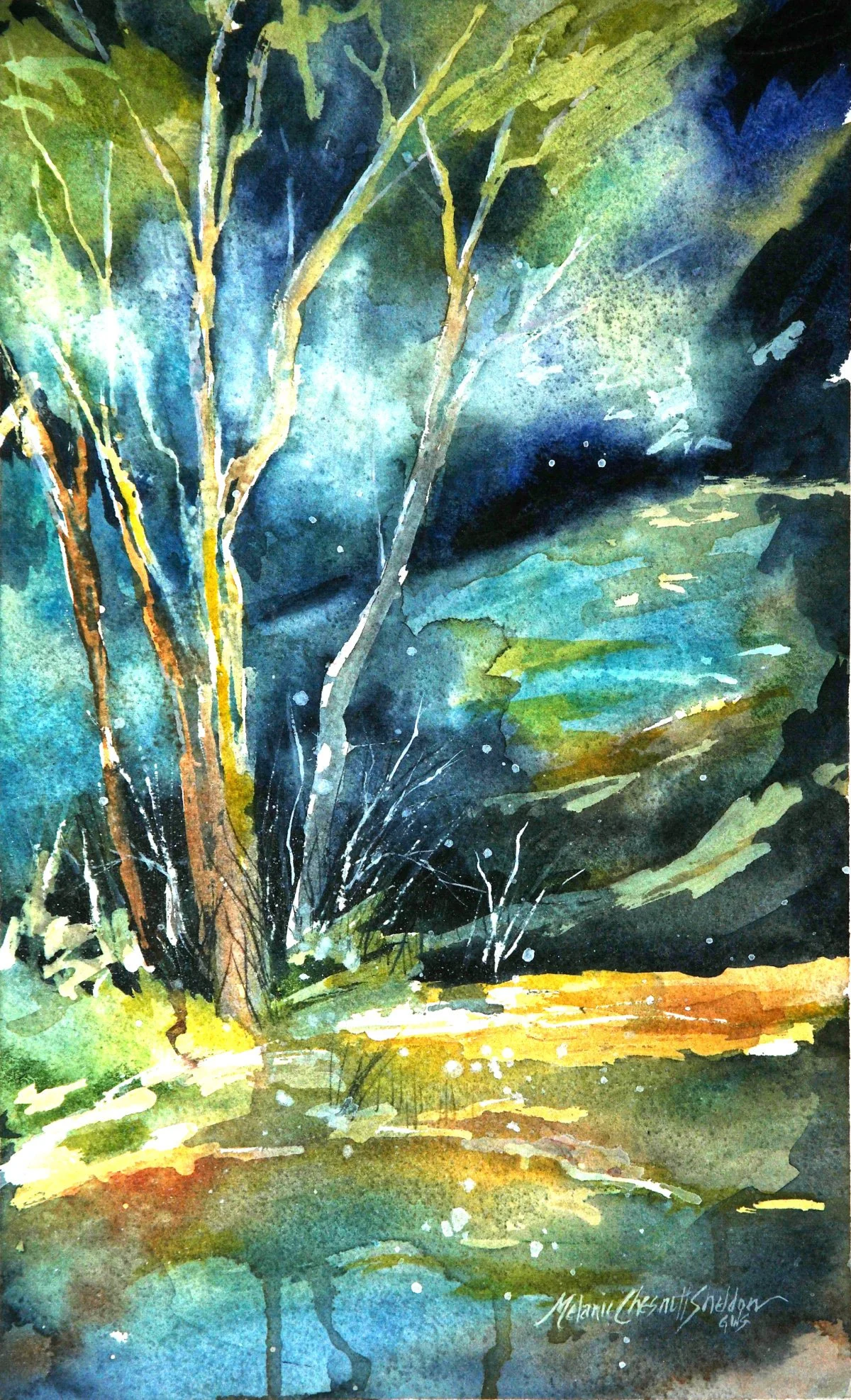 woodland reflections