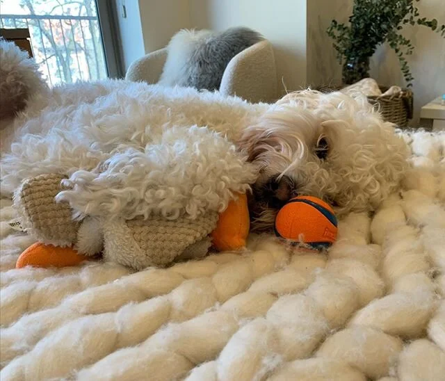 Mondays
